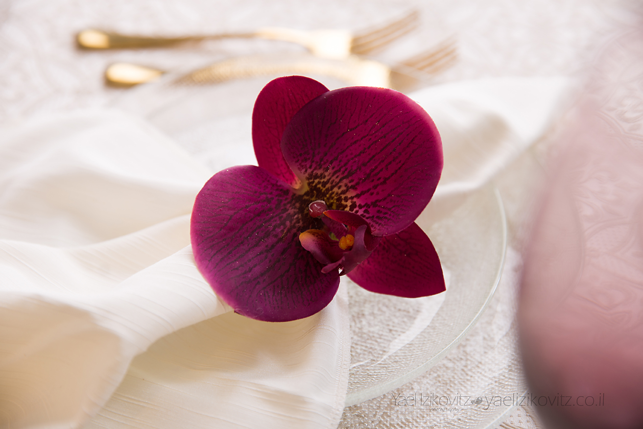 IMG_3092 copy.jpg