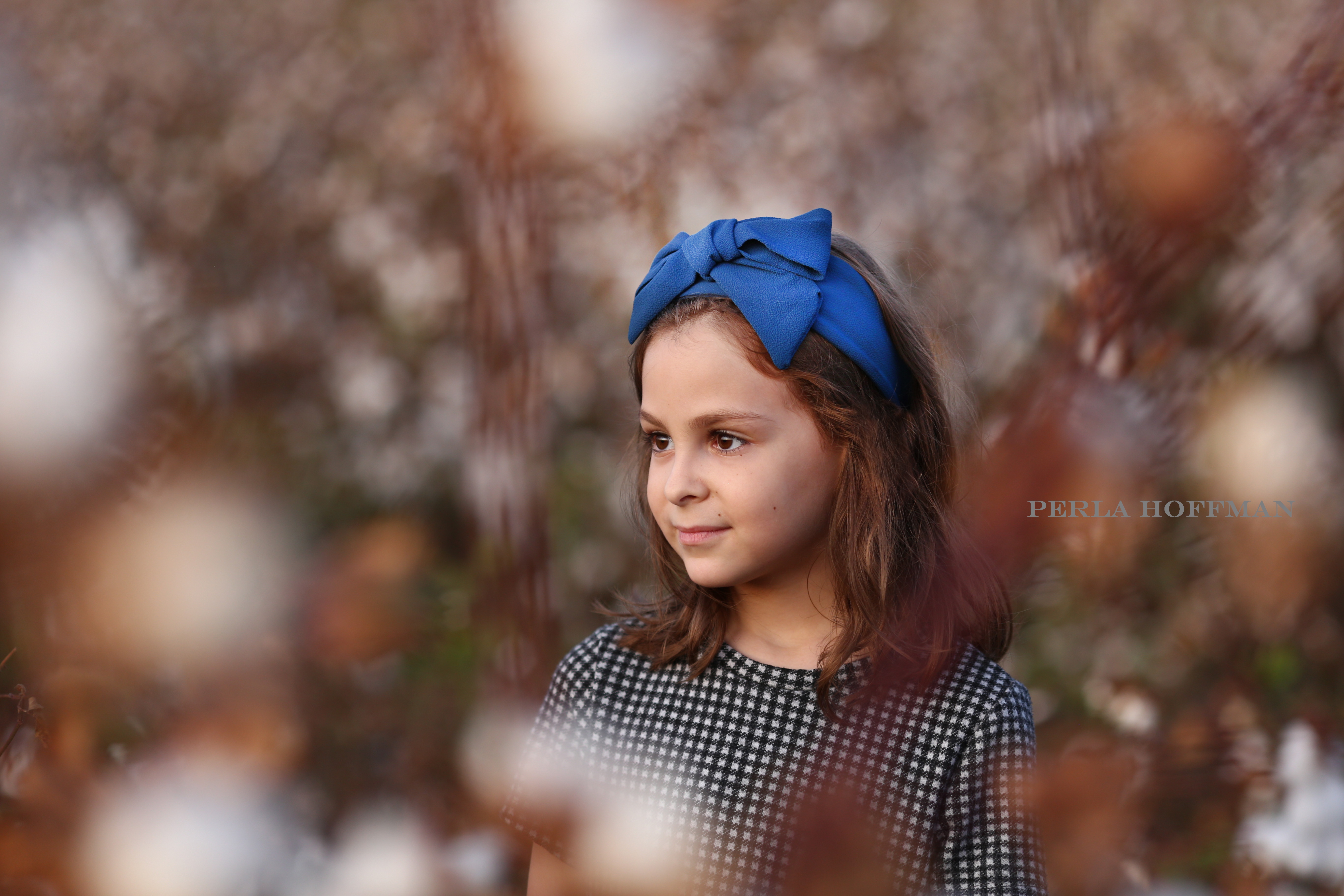 IMG_3165s.JPG