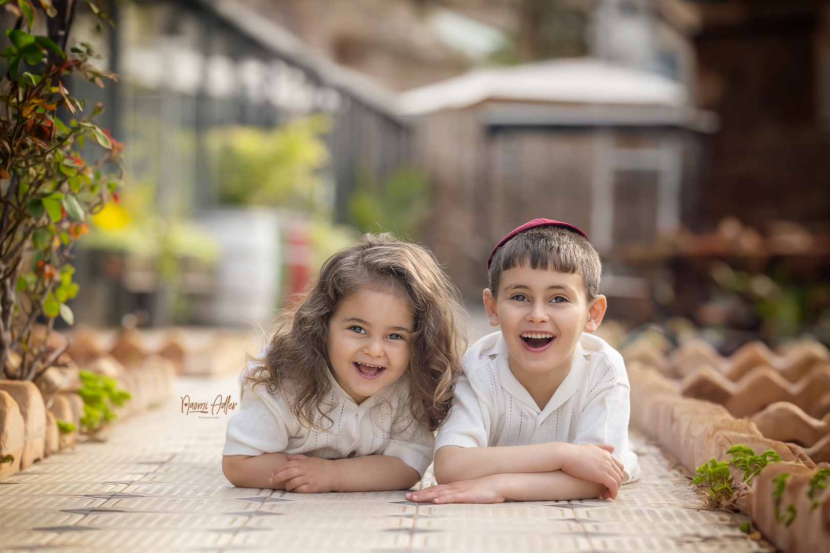 IMG_3239 (Large).jpg