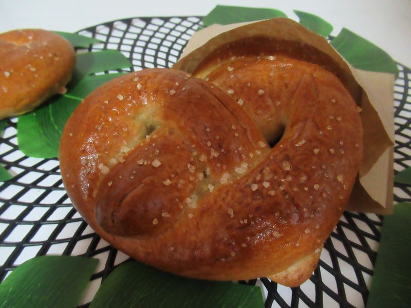 IMG_3300_800x600 (1).jpg