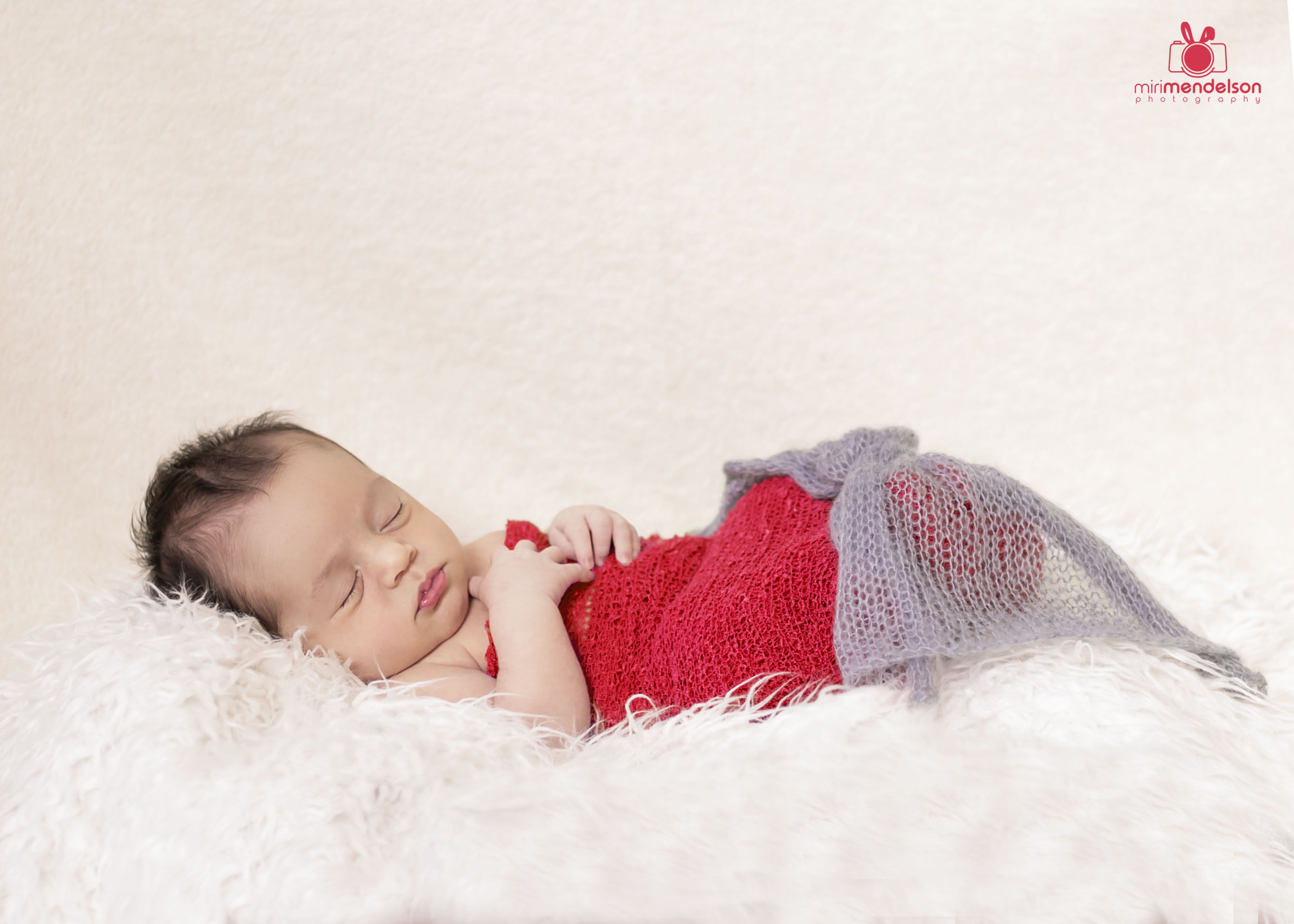 IMG_3343 גרסה 1.jpg