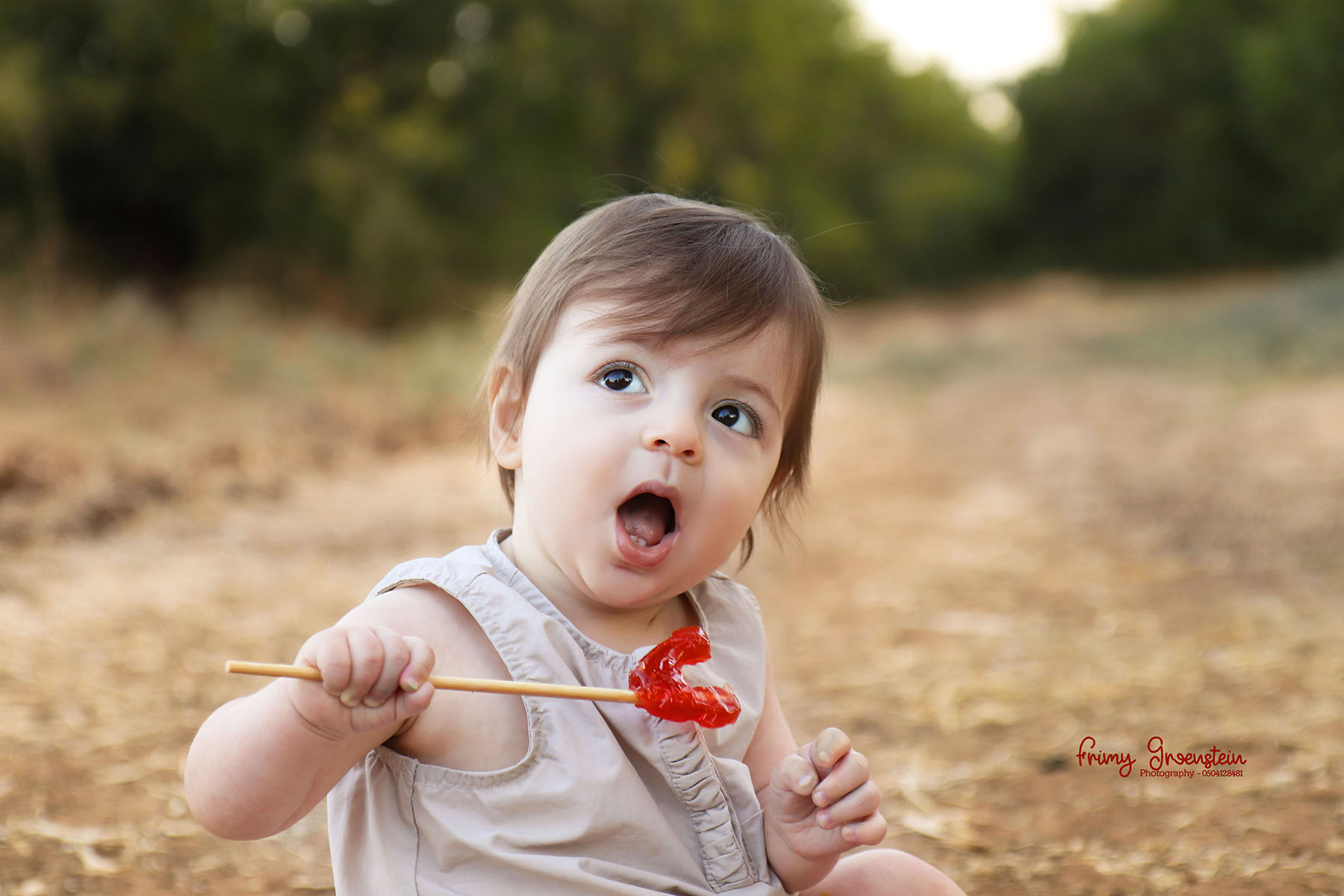 IMG_3422 פרימי גרינשטיין 050-4128481.jpg