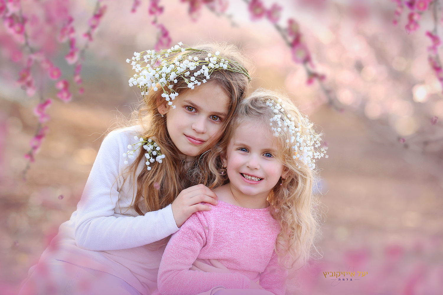 IMG_3830מעובד 2.jpg