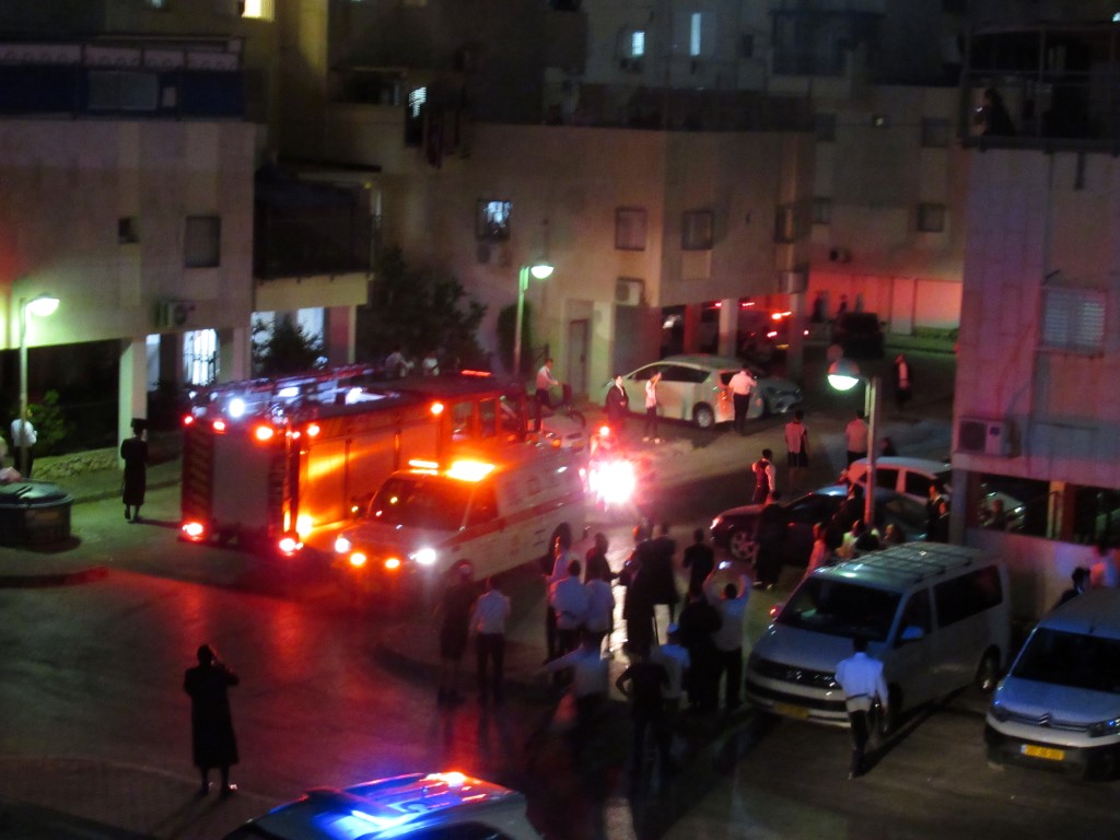 IMG_3838 (Medium).JPG