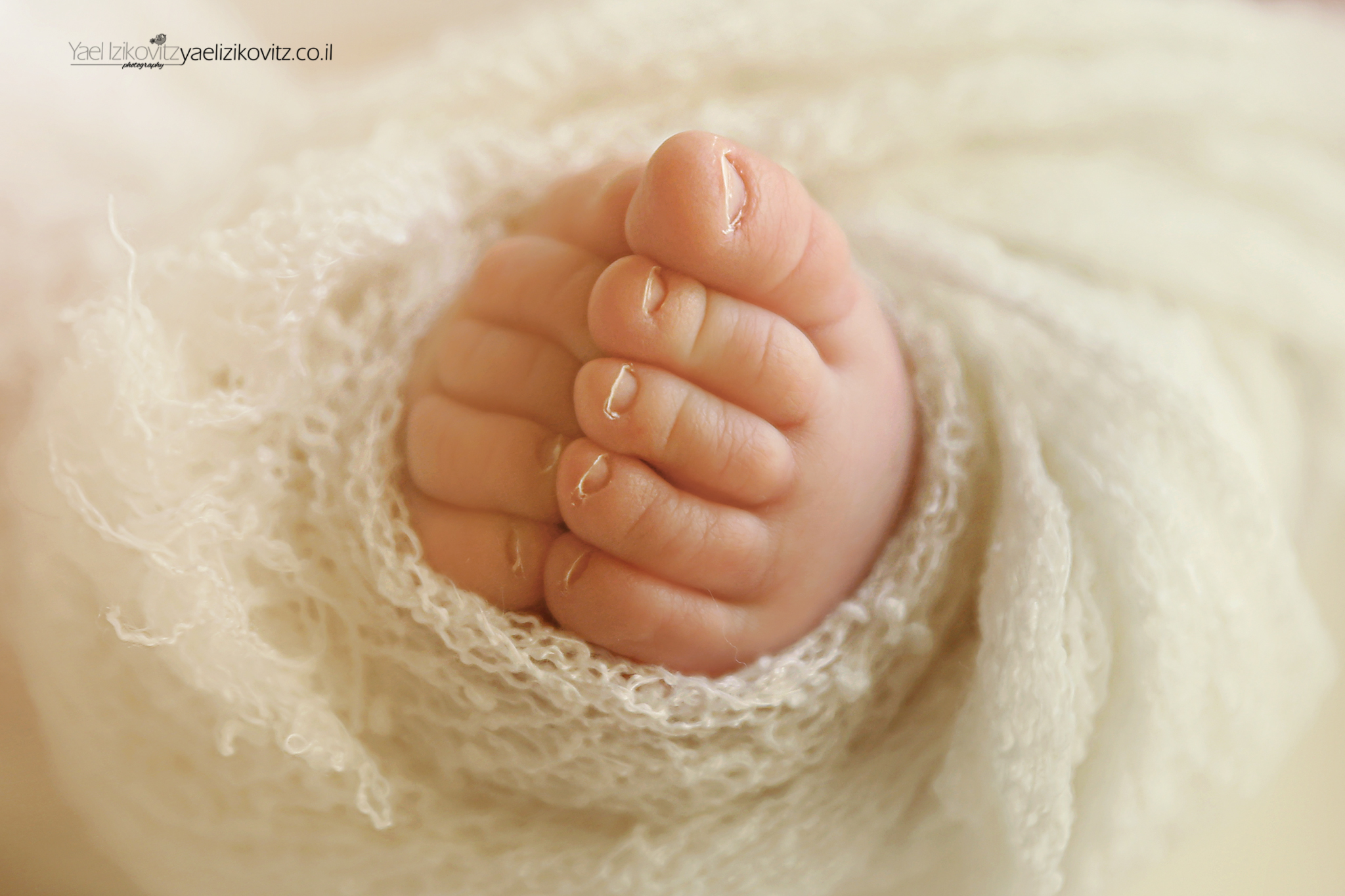 IMG_3845מעובד מוקטן.jpg