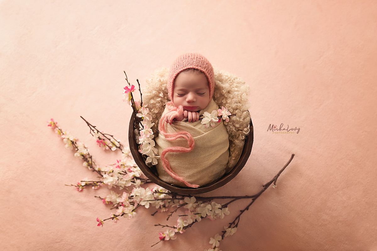 IMG_3851  מוקטן + לוגו תמרי ערוך.jpg