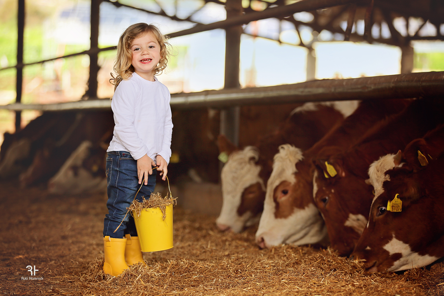 IMG_3919רותי המניק.jpg