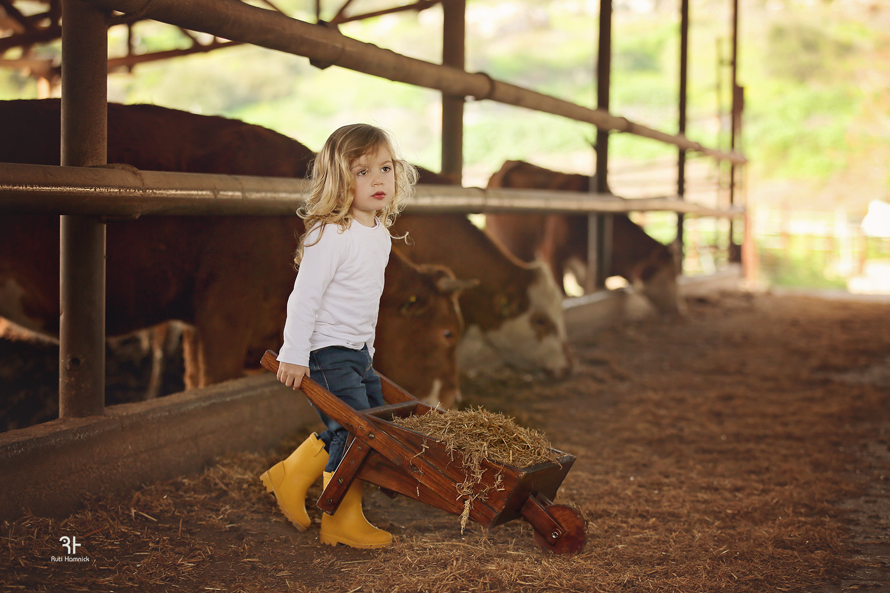 IMG_3949רותי המניק.jpg