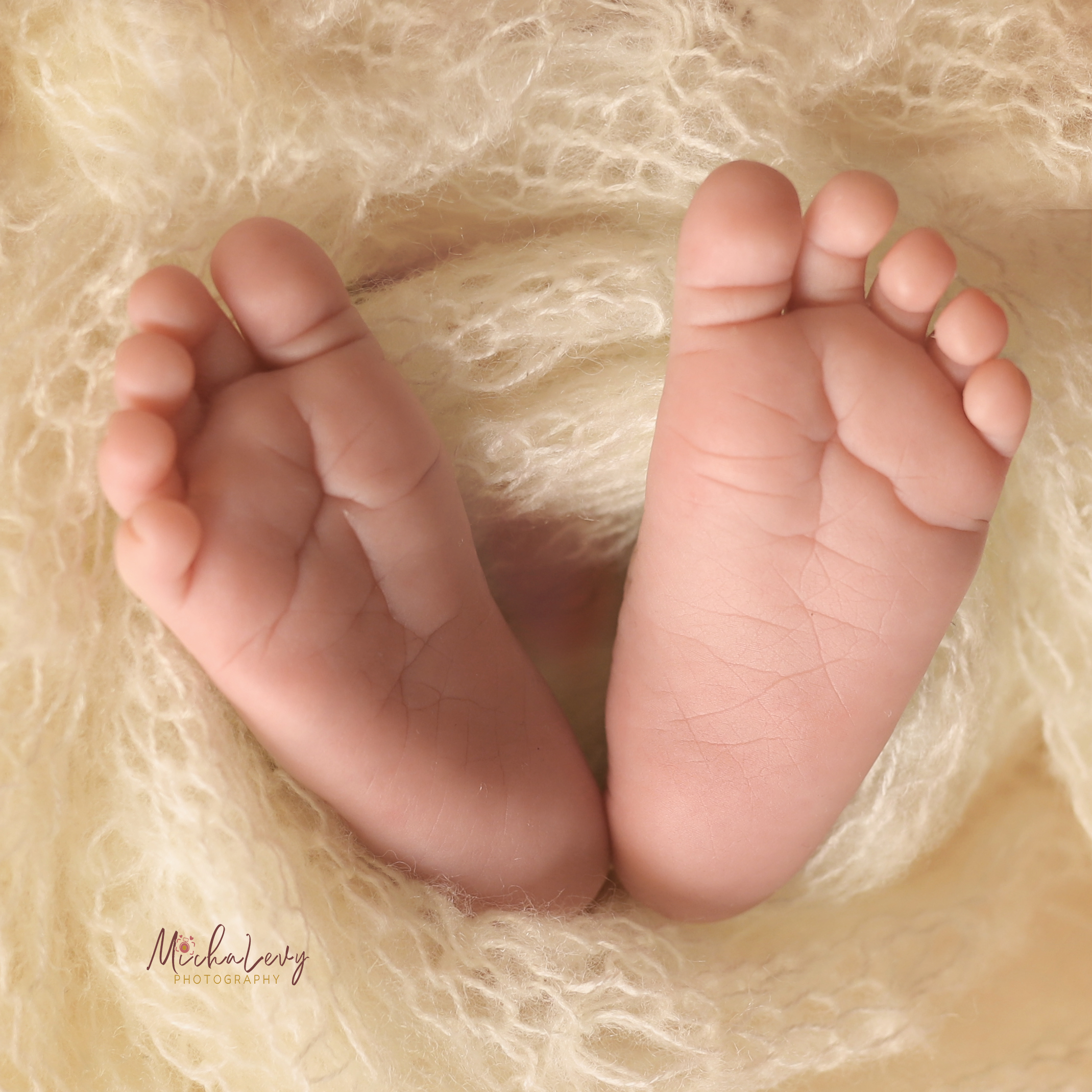 IMG_3966 ערוך+ לוגו.jpg