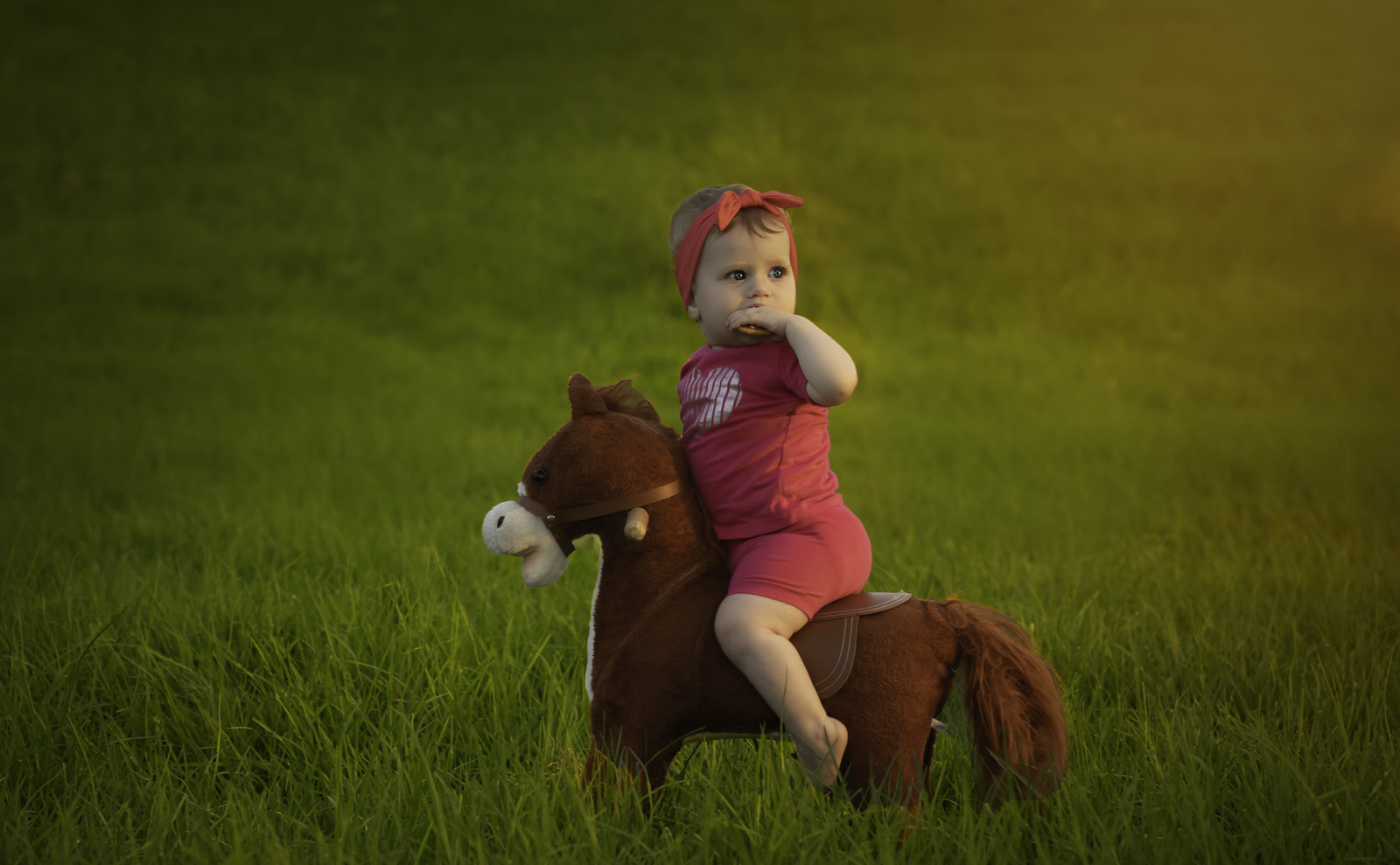 IMG_3998-Edit copy_1600x989.jpg