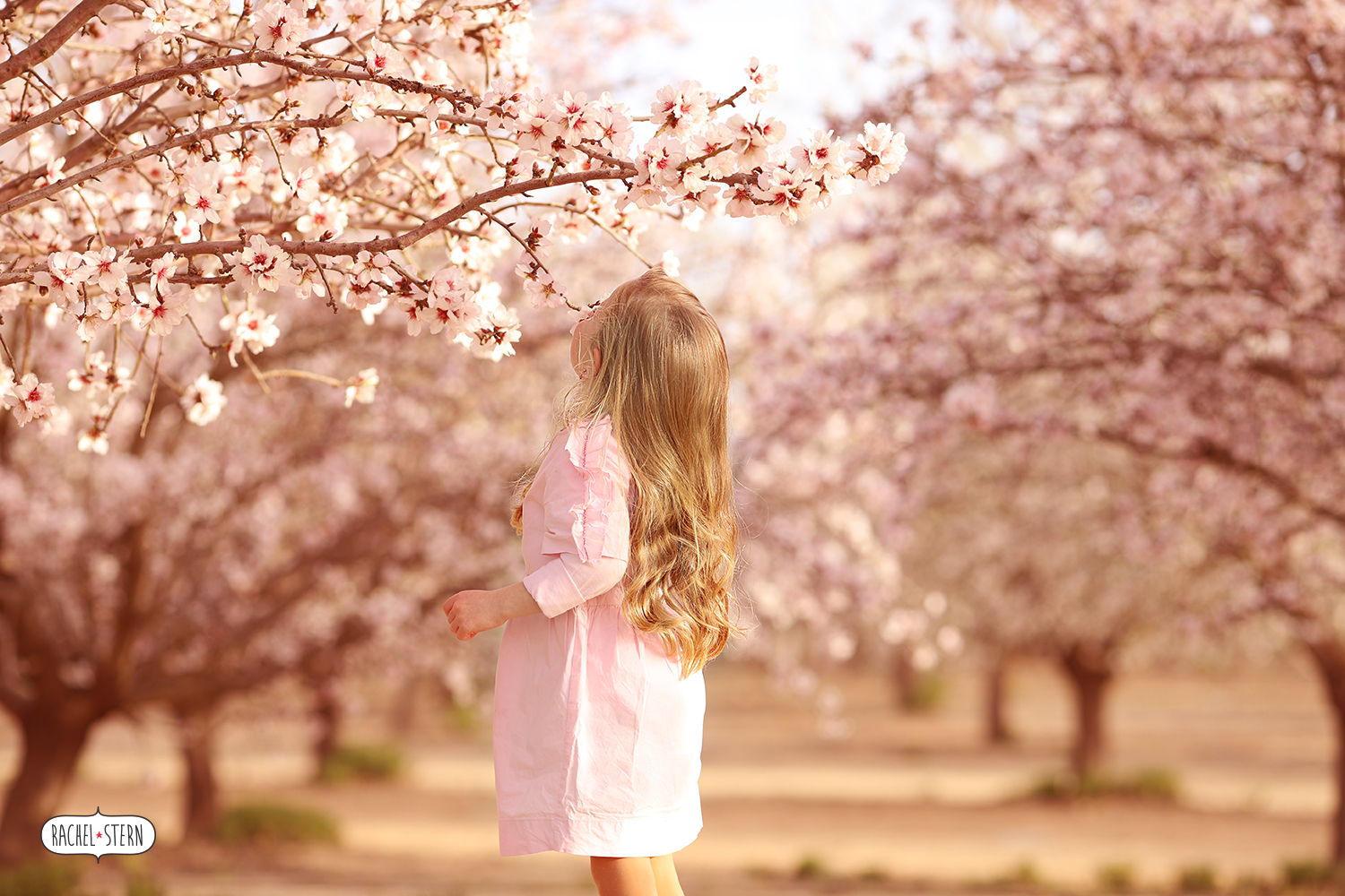 IMG_4171 - 2 מוקטן.jpg