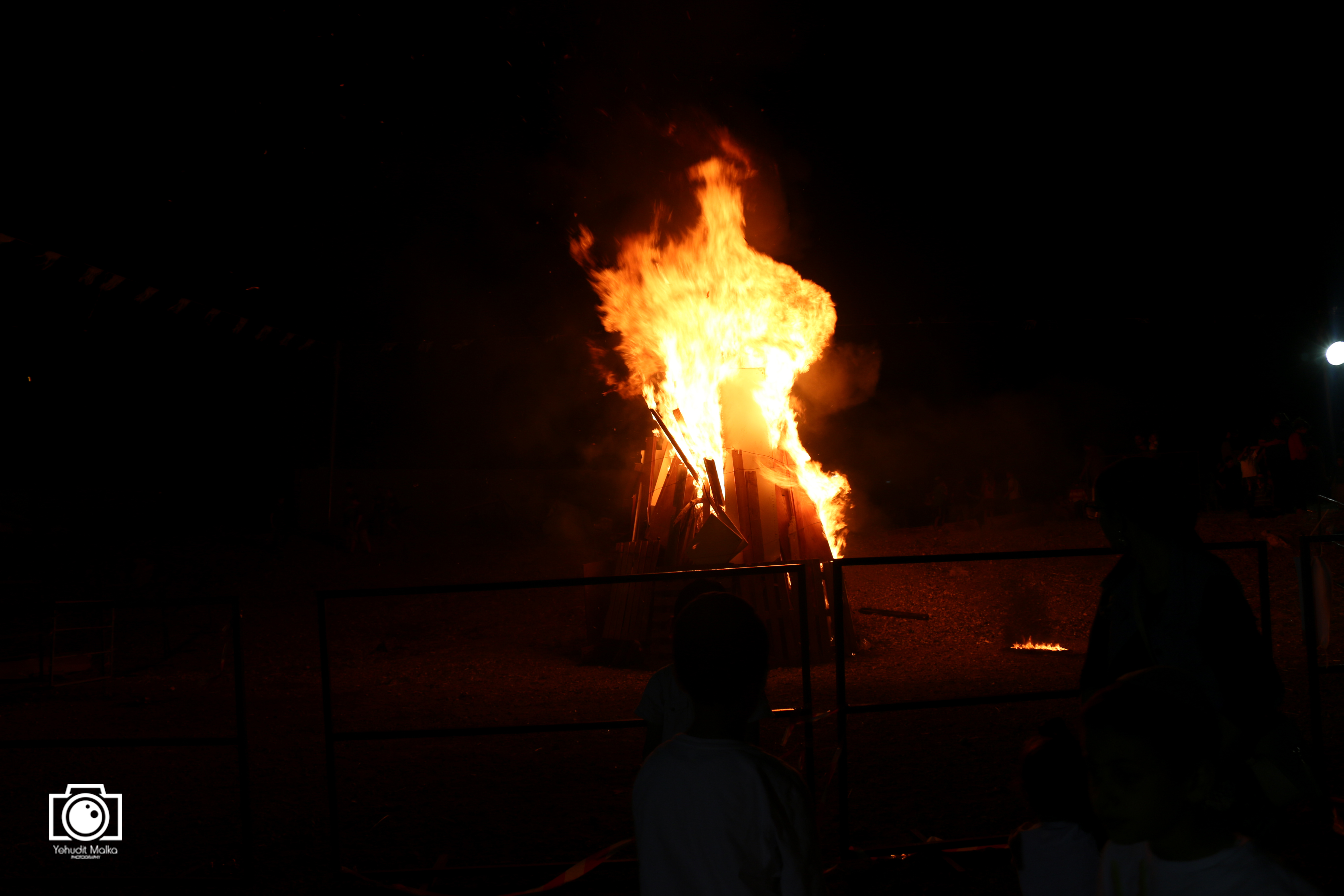 IMG_4200 copy.JPG