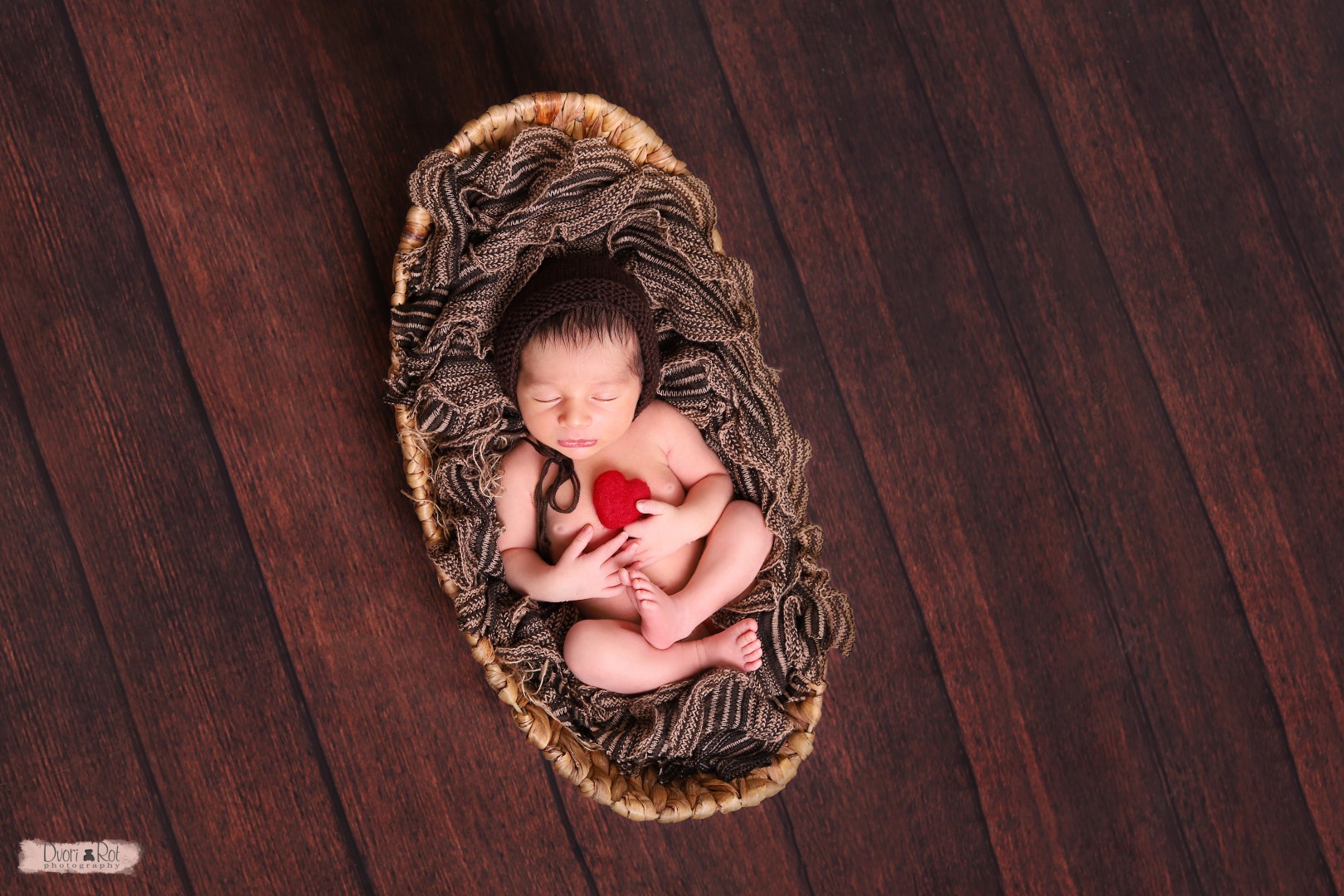 IMG_4203 copy (Large).jpg