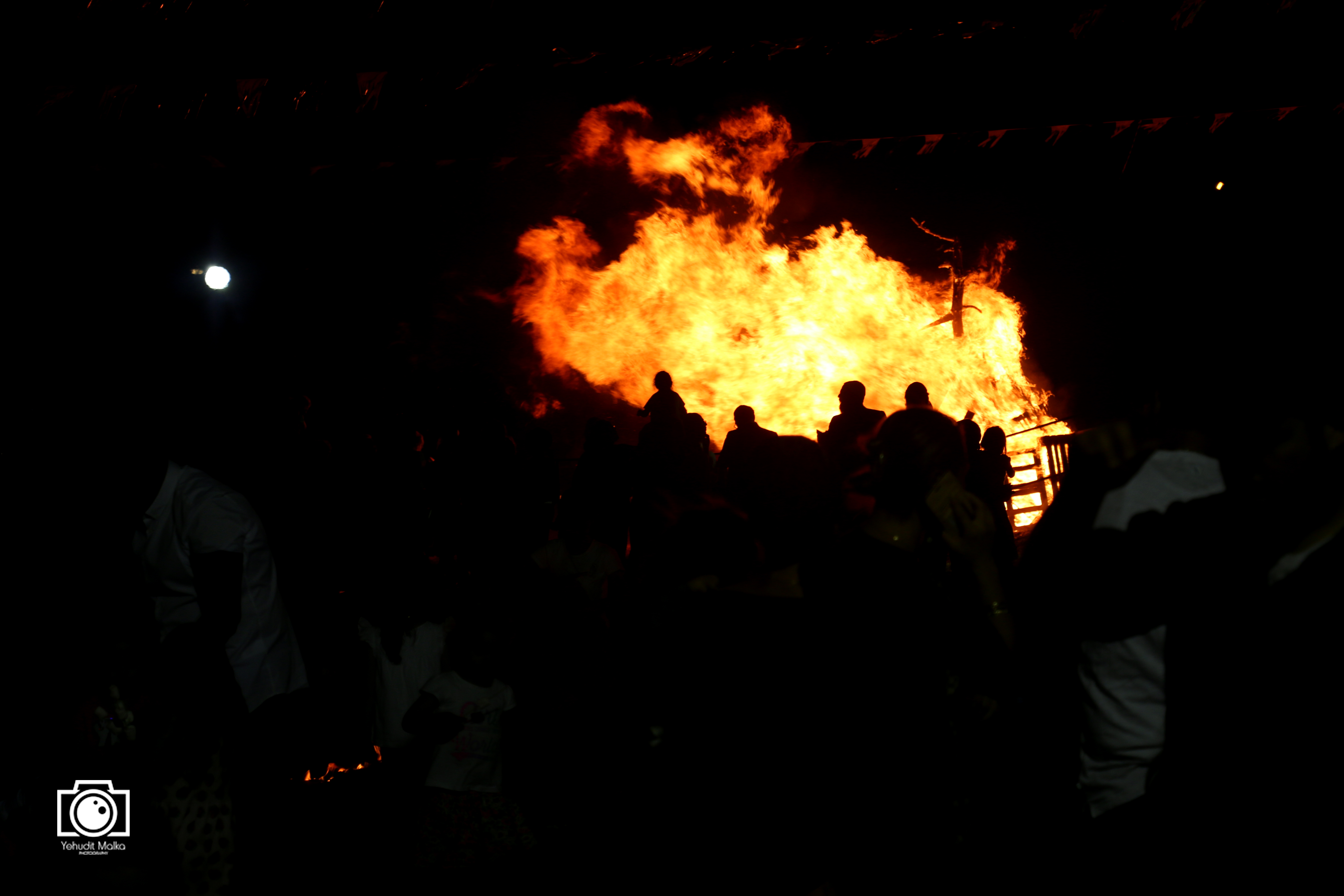 IMG_4213 copy.JPG