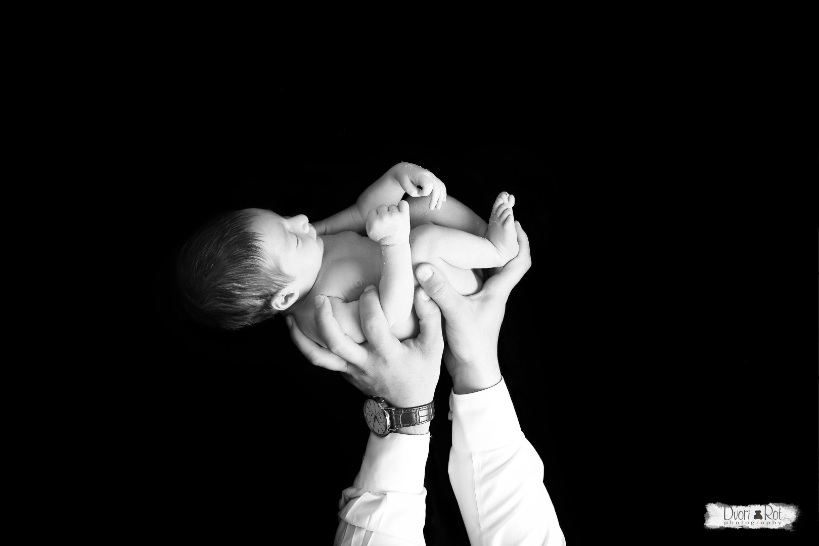 IMG_4215 copy (Large).jpg