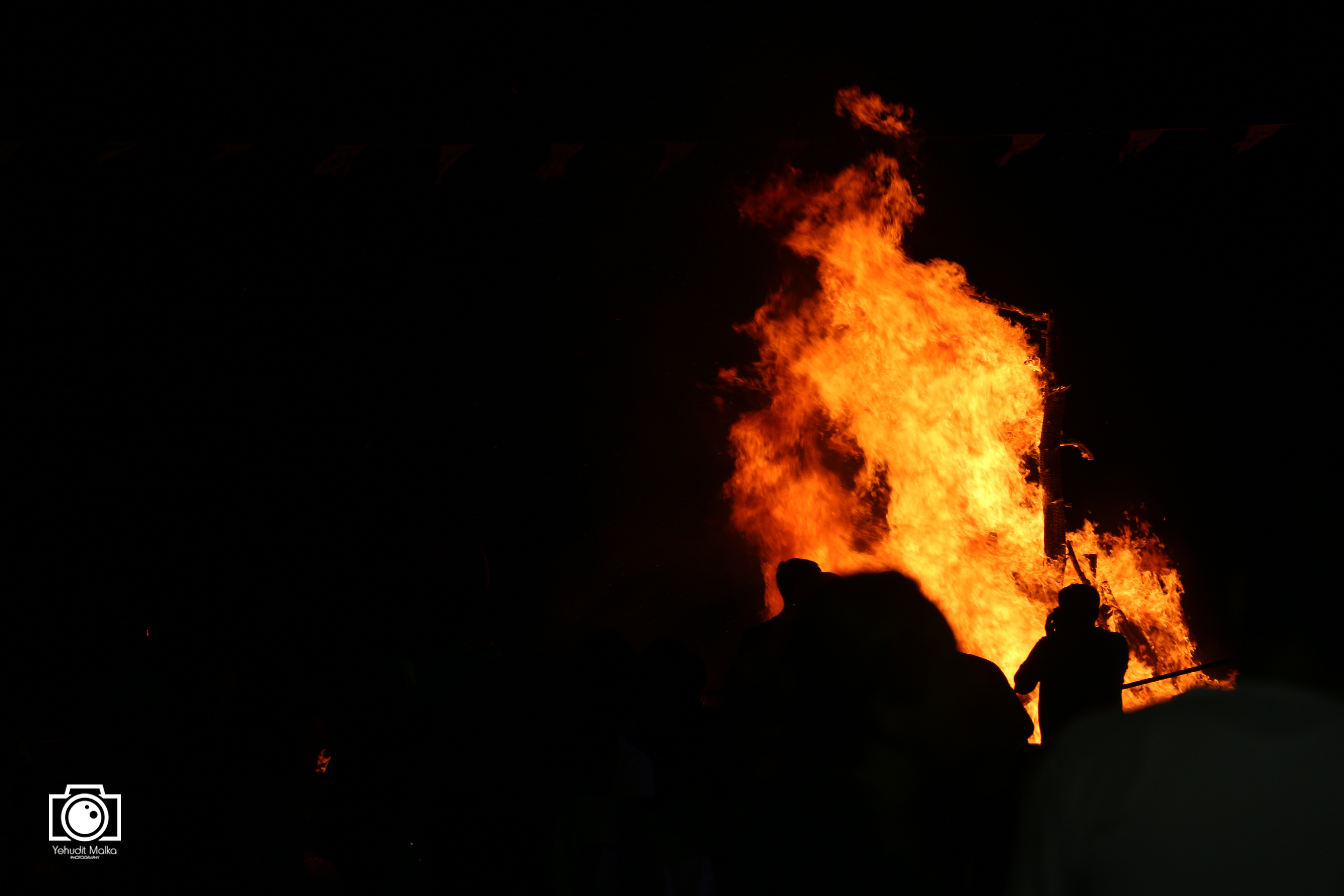 IMG_4219 copy.JPG