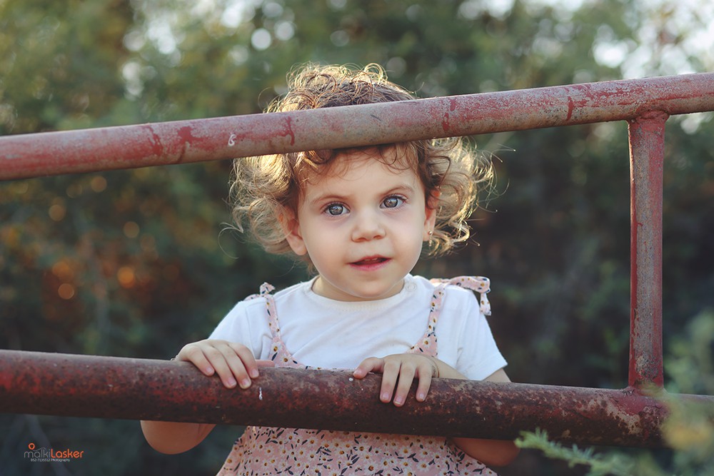 IMG_4220 b ר נמוכה.jpg