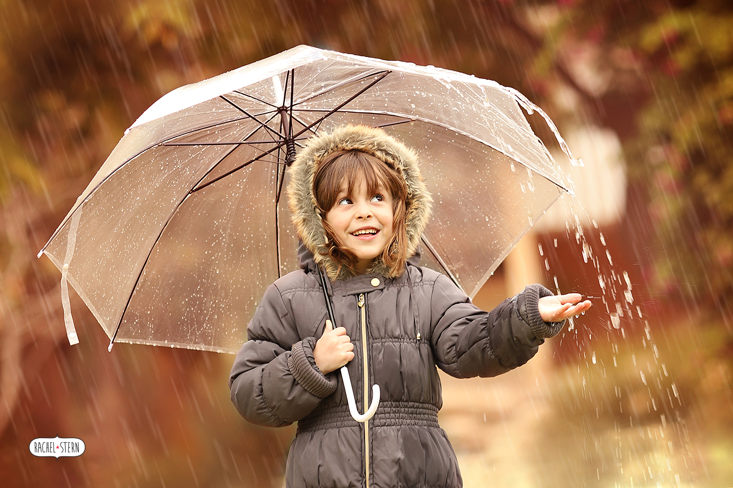 IMG_4284 - מוקטן.jpg