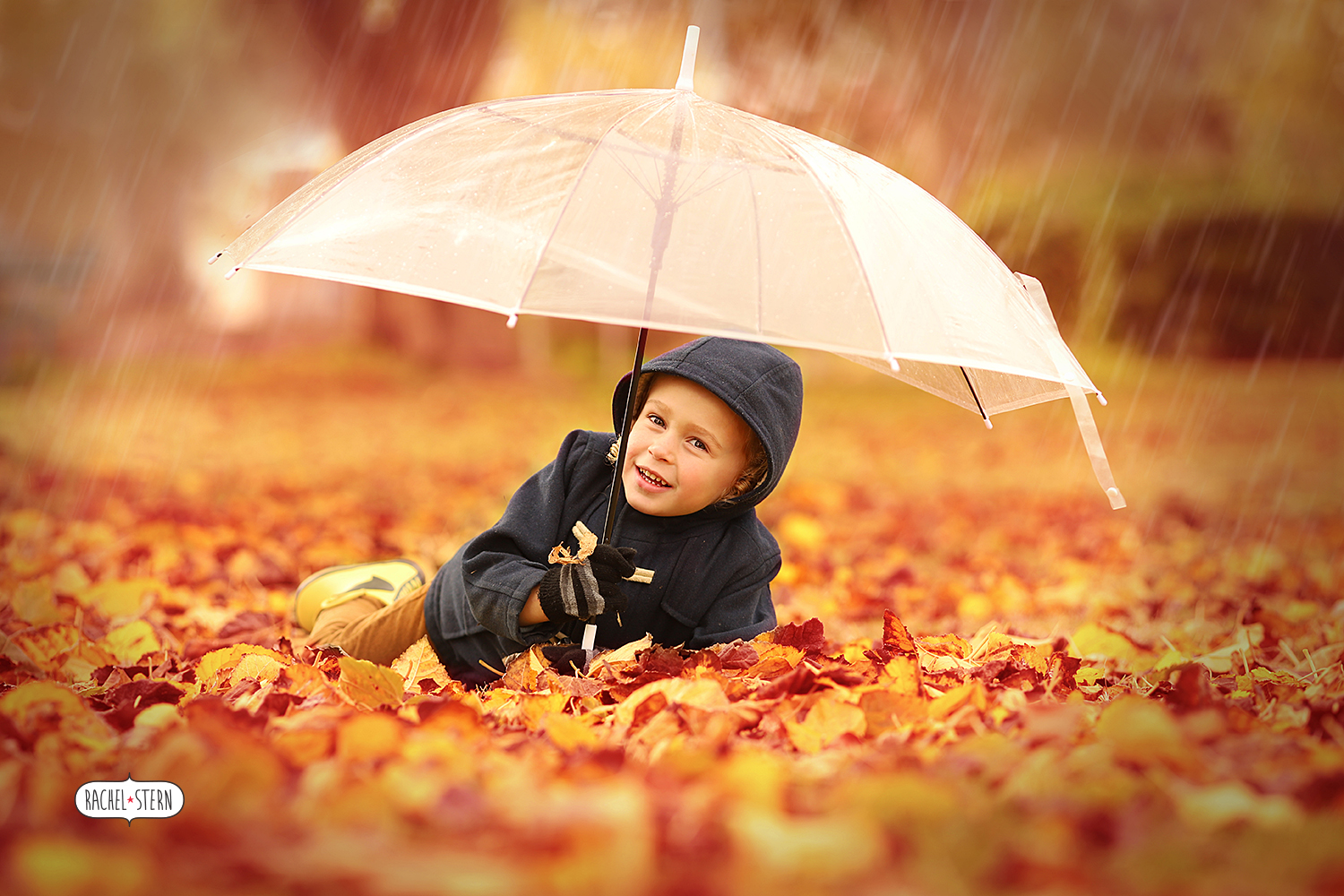 IMG_4374 - מוקטן.jpg