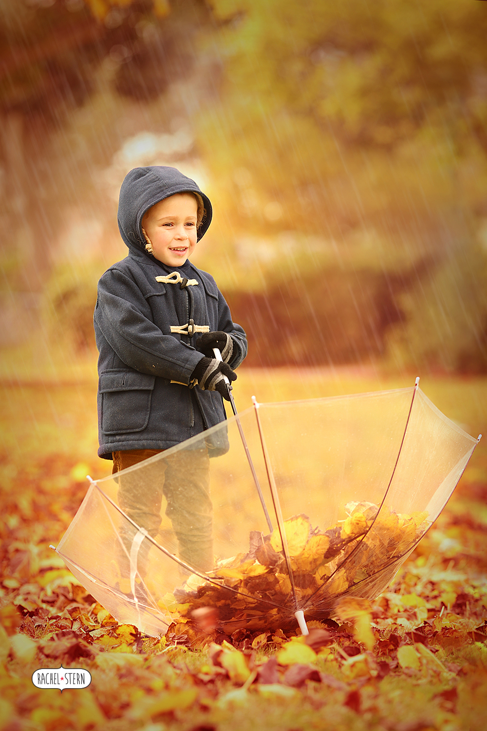 IMG_4376 - מוקטן.jpg