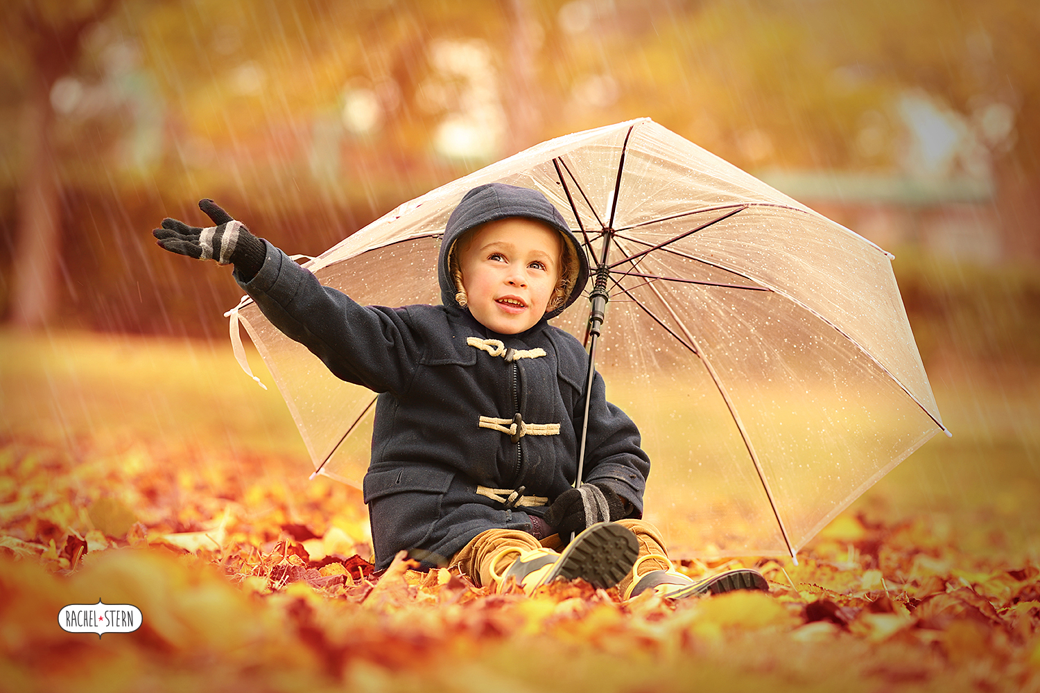 IMG_4412 - מוקטן.jpg