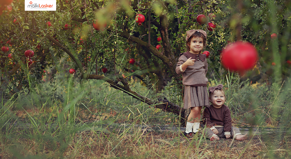 IMG_4517 פנורמי.png