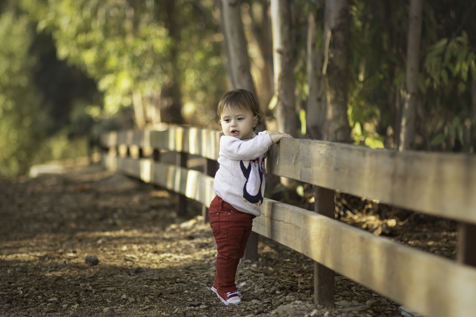 IMG_4636-Edit copy_1600x1066.jpg