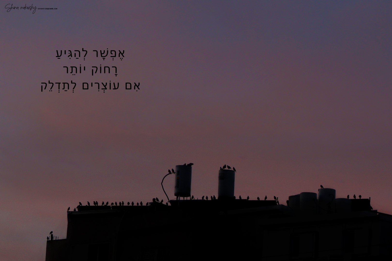 IMG_4686 copy (Large).jpg