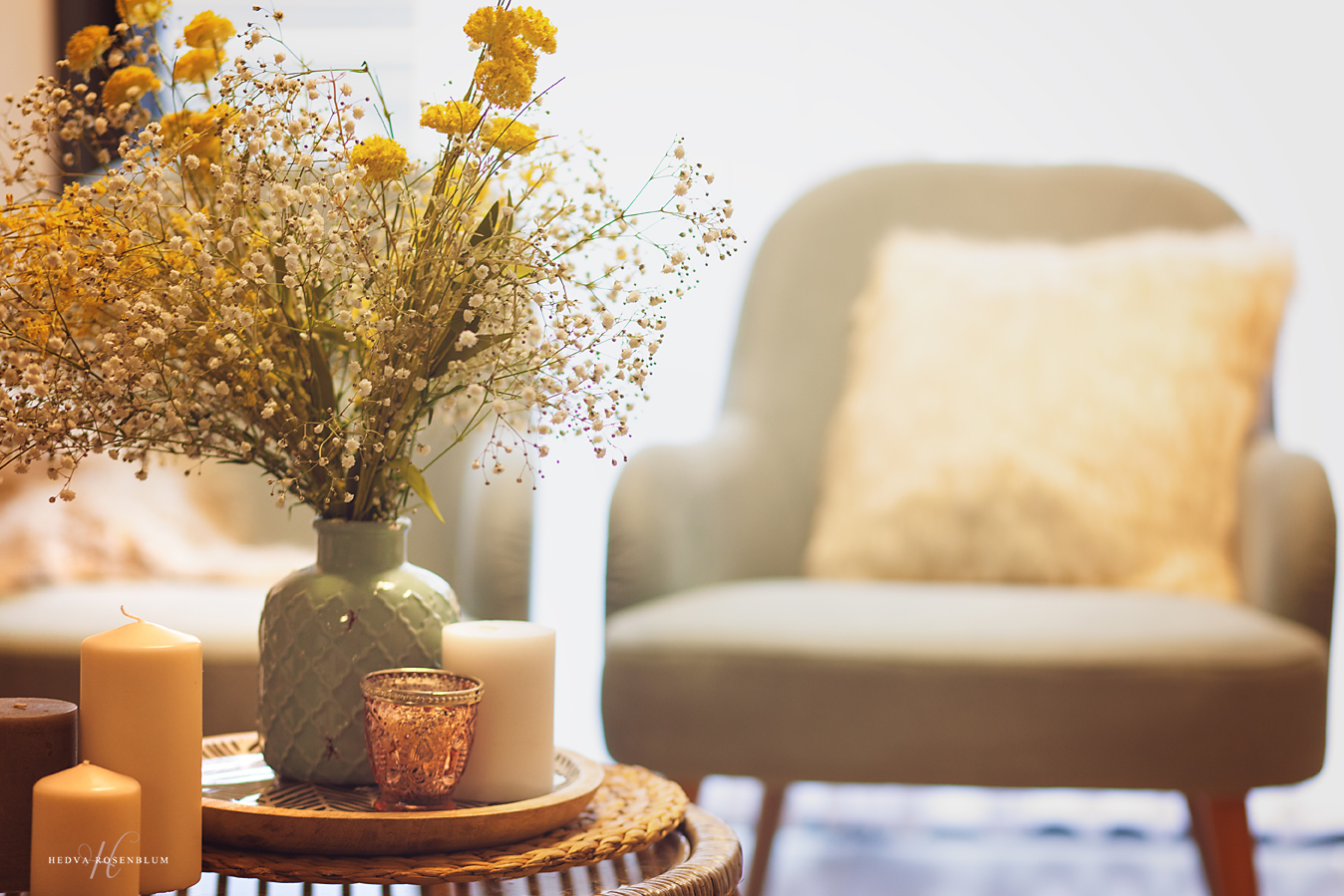 IMG_4825.jpg מוקטן.jpg