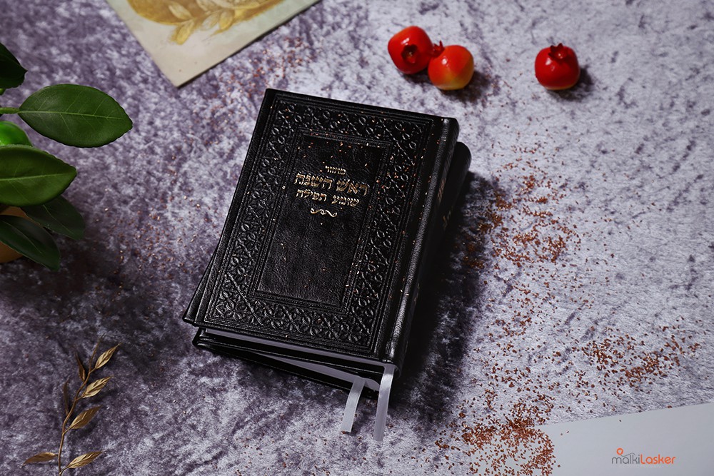 IMG_5028 ר נמוכה.jpg