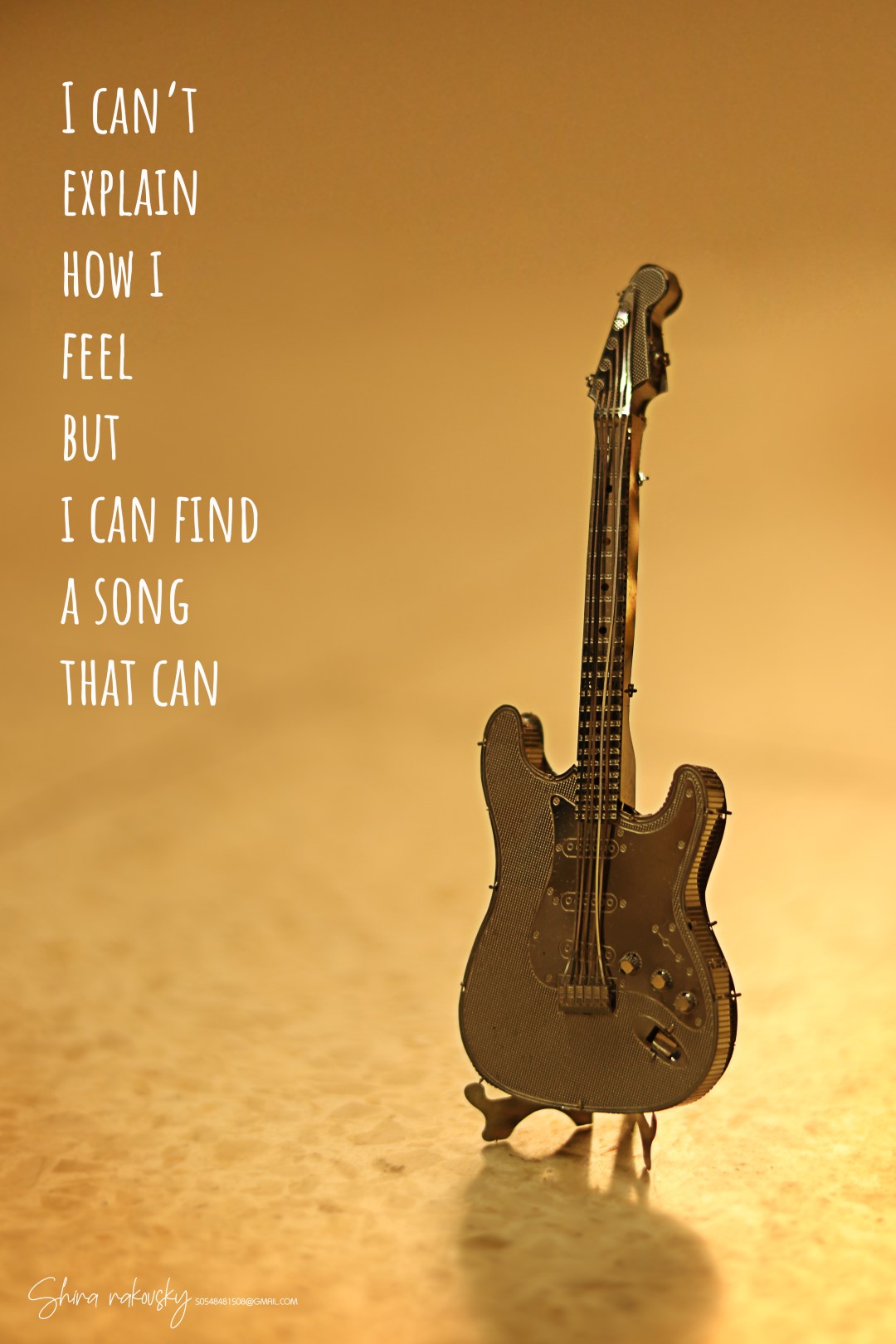 IMG_5213[1] (Large).jpg