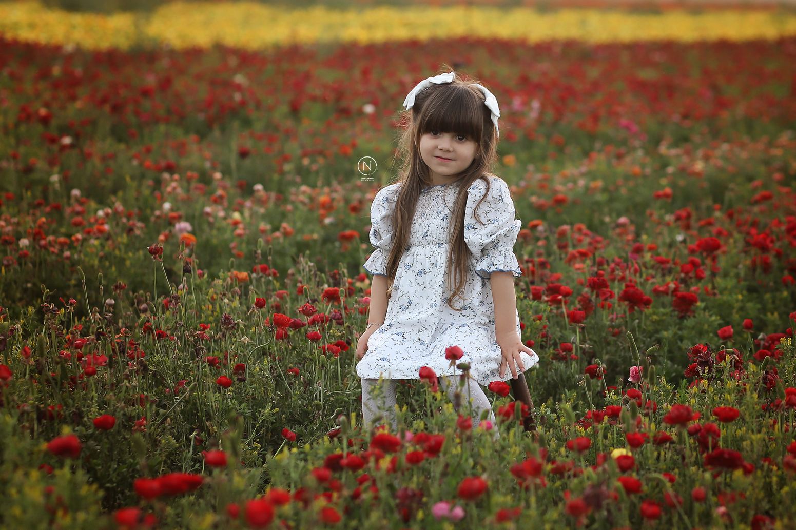 IMG_5256 copy_1600x1066.jpg