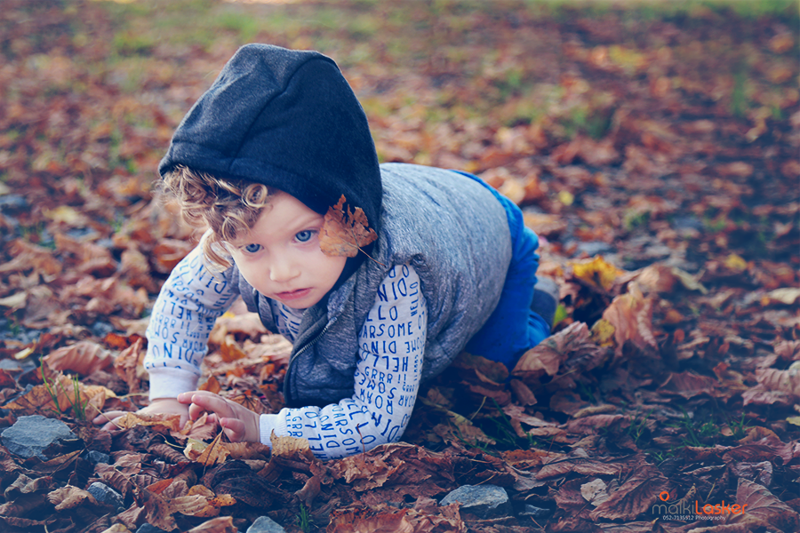 IMG_5338 ב ר נמוכה.png