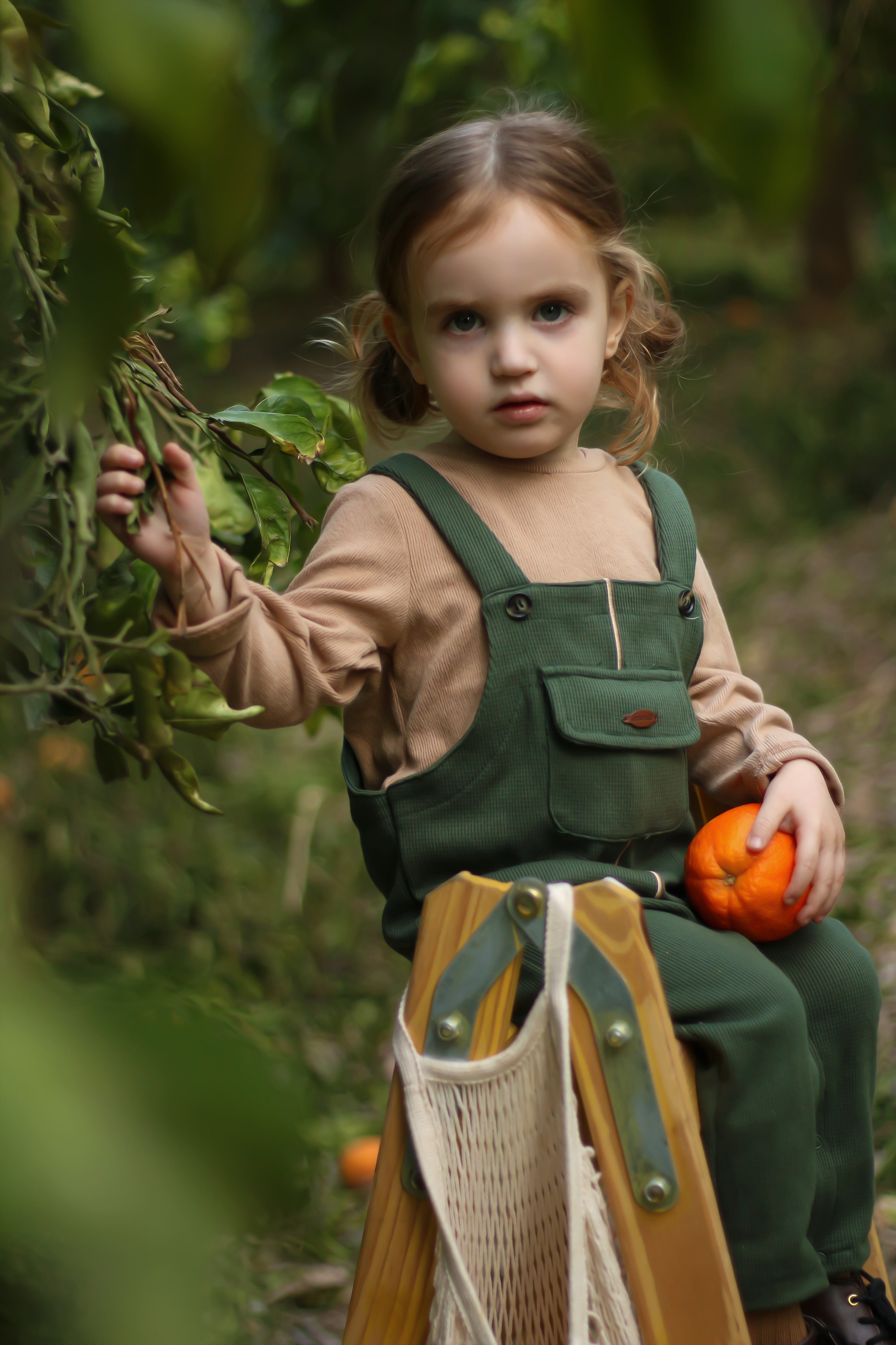 IMG_5400 copy.jpg1.jpg