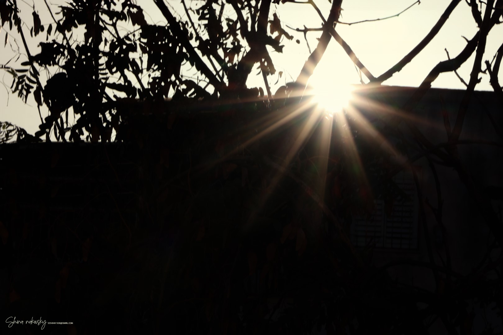 IMG_5447 copy (Large).jpg