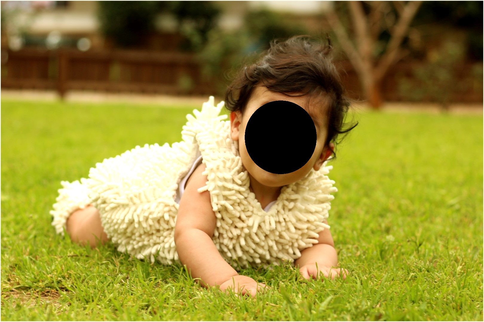 IMG_5499 (Large).jpg