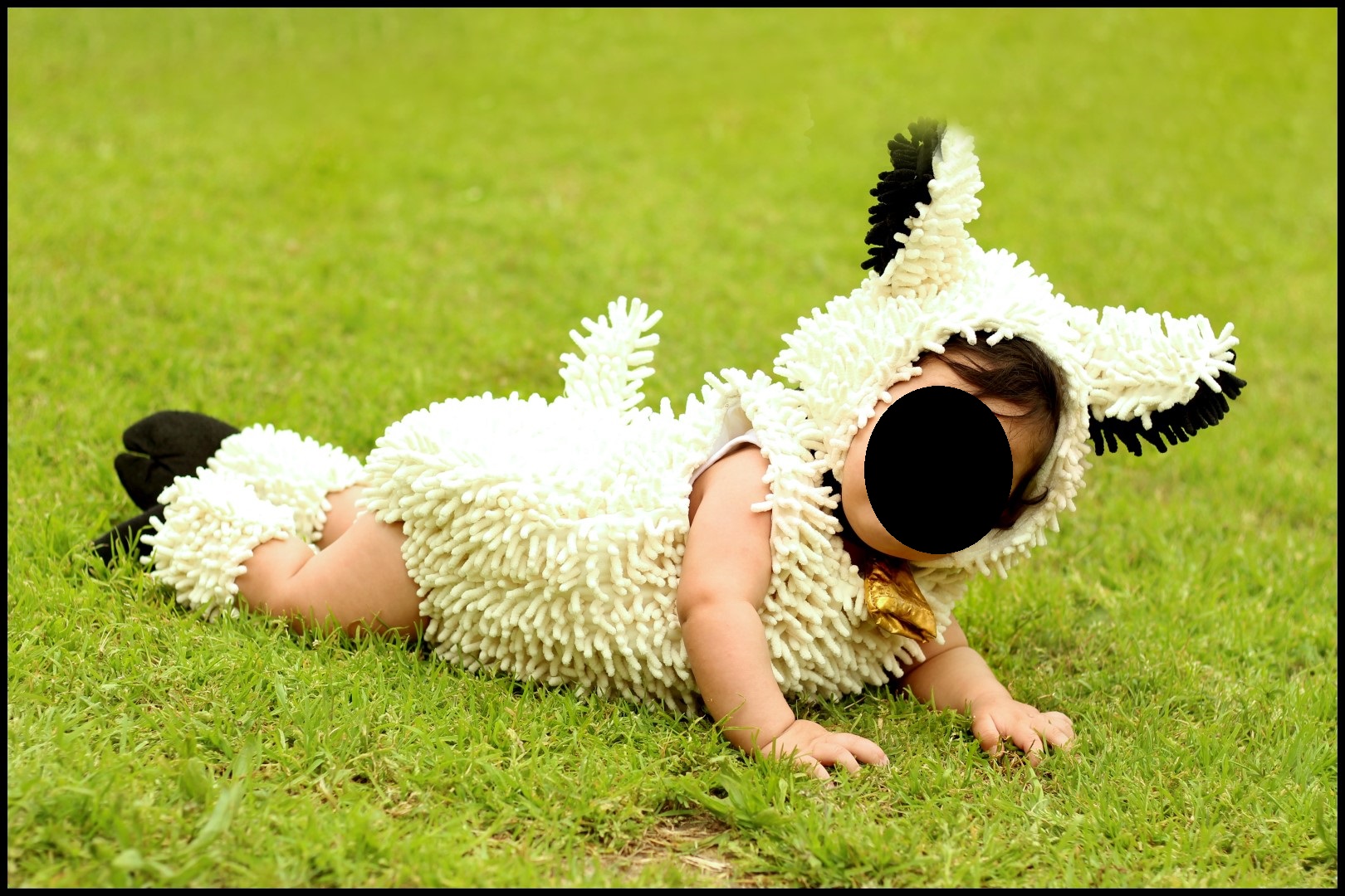 IMG_5536 (1) (Large).jpg