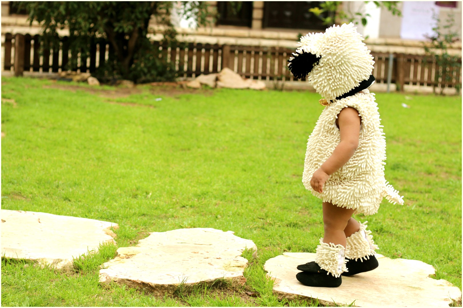 IMG_5667      ש (Large).jpg