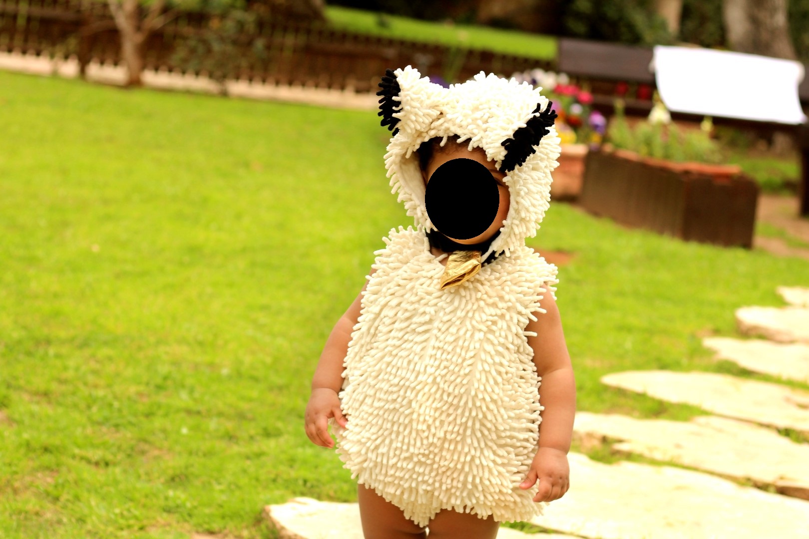 IMG_5670 (Large).jpg