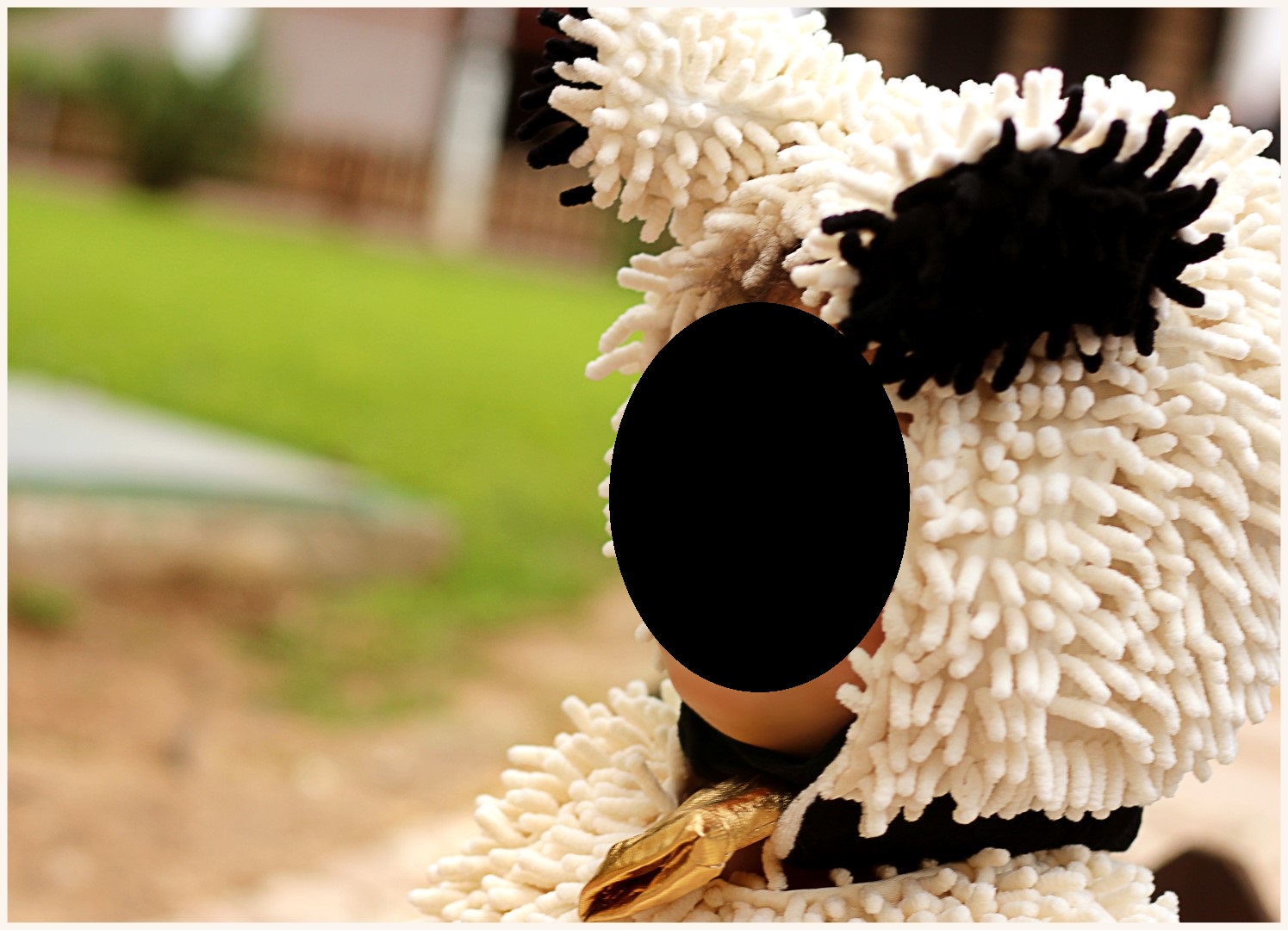 IMG_5678_1 (Large).jpg