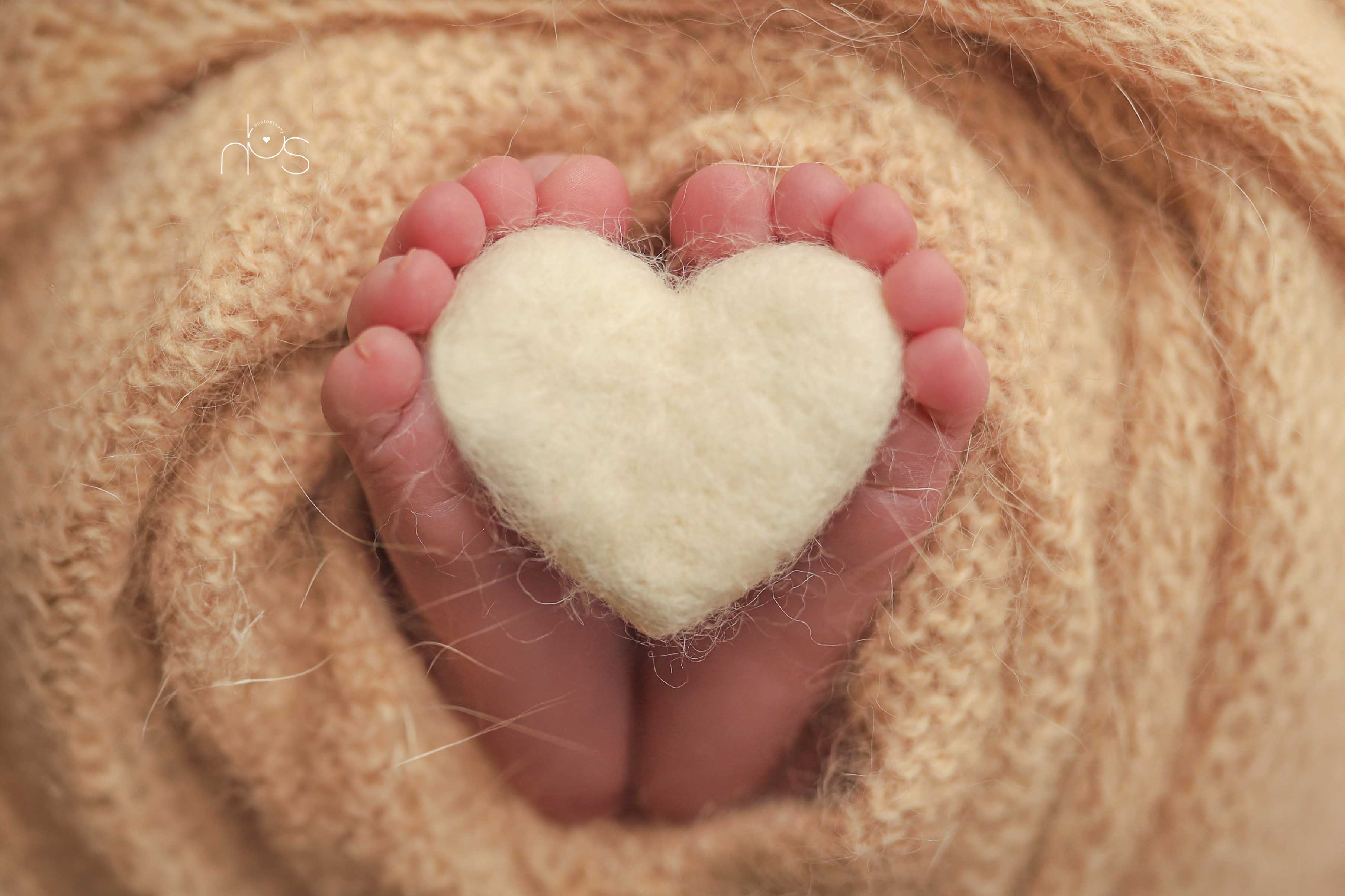 IMG_5705 copy.jpgעם לוגו אחרי תיקון.jpg