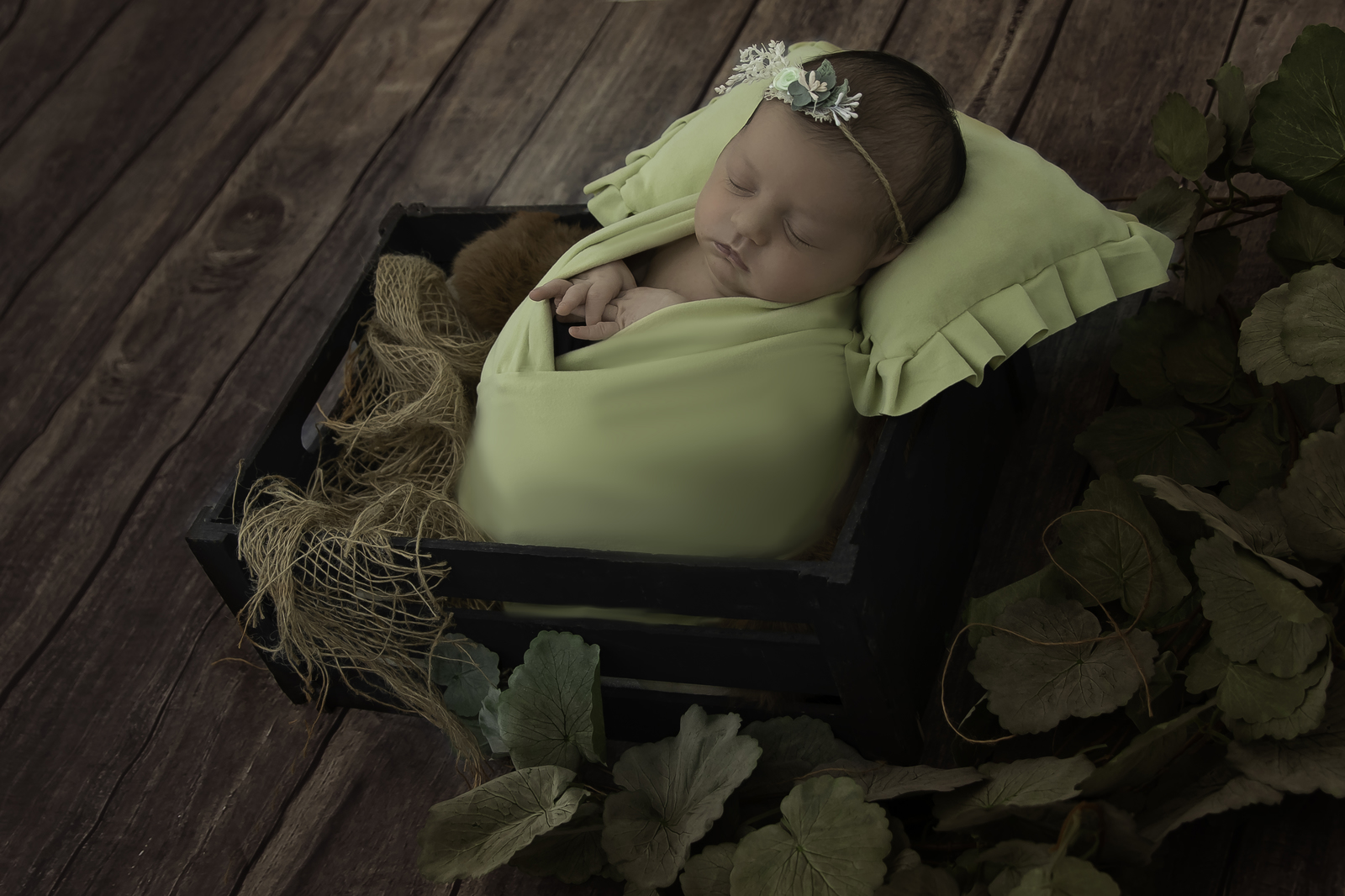 IMG_5964-Edit copy_1600x1066.jpg