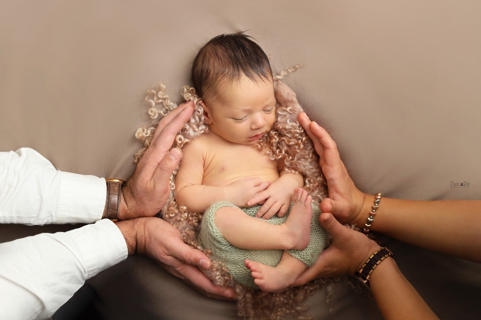 IMG_5987 (Large).jpg