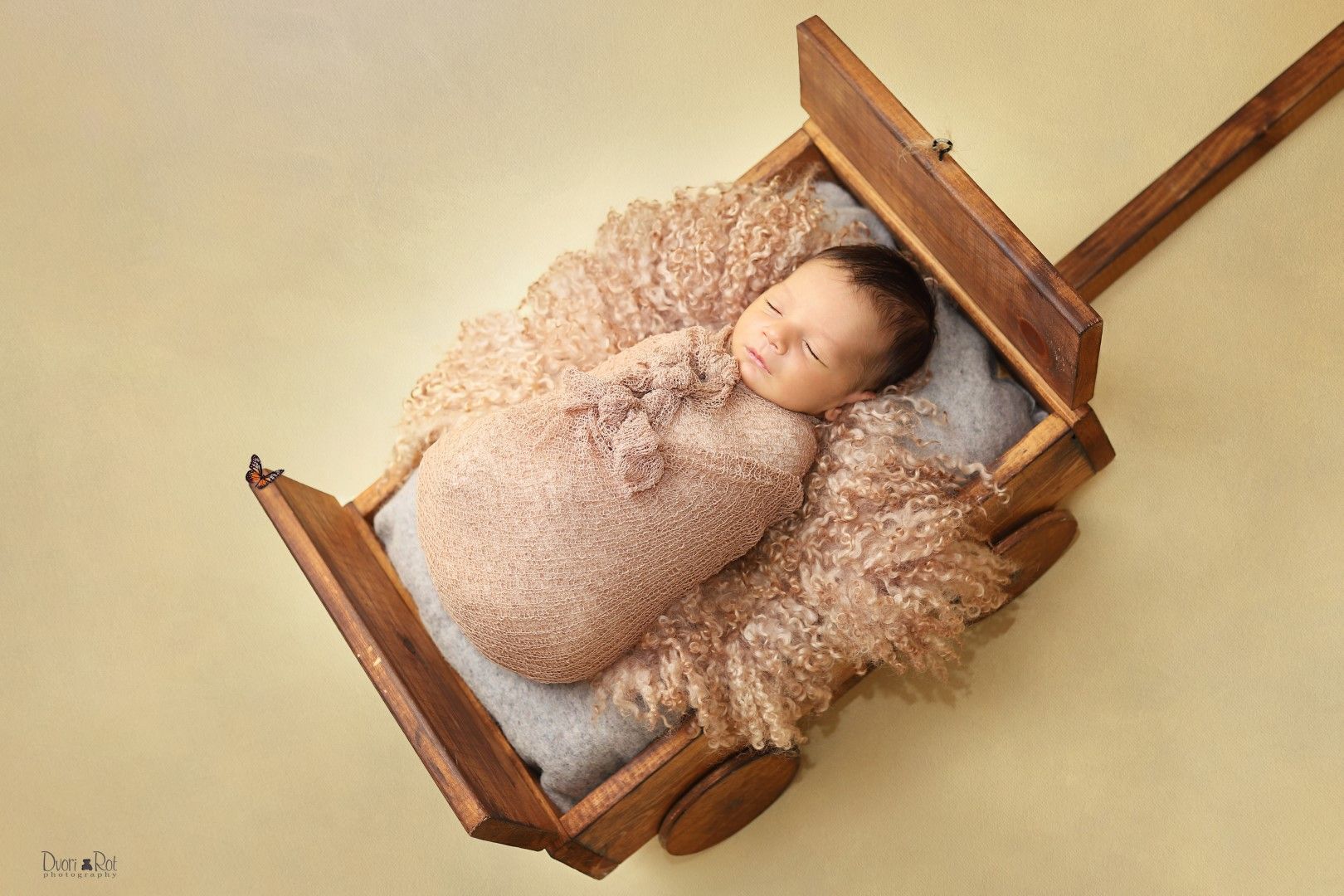 IMG_6100 copy (Large).jpg