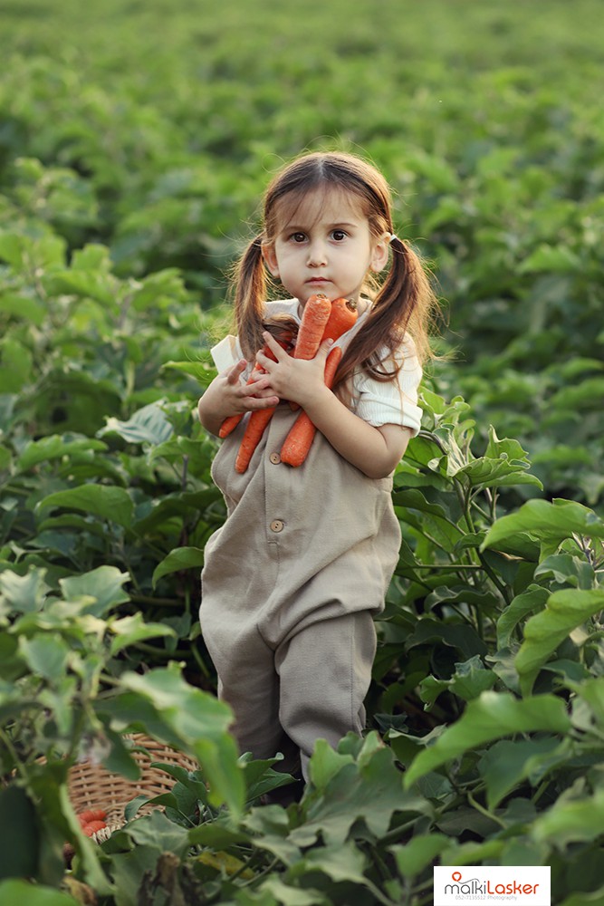 IMG_6103 ר נמוכה.jpg