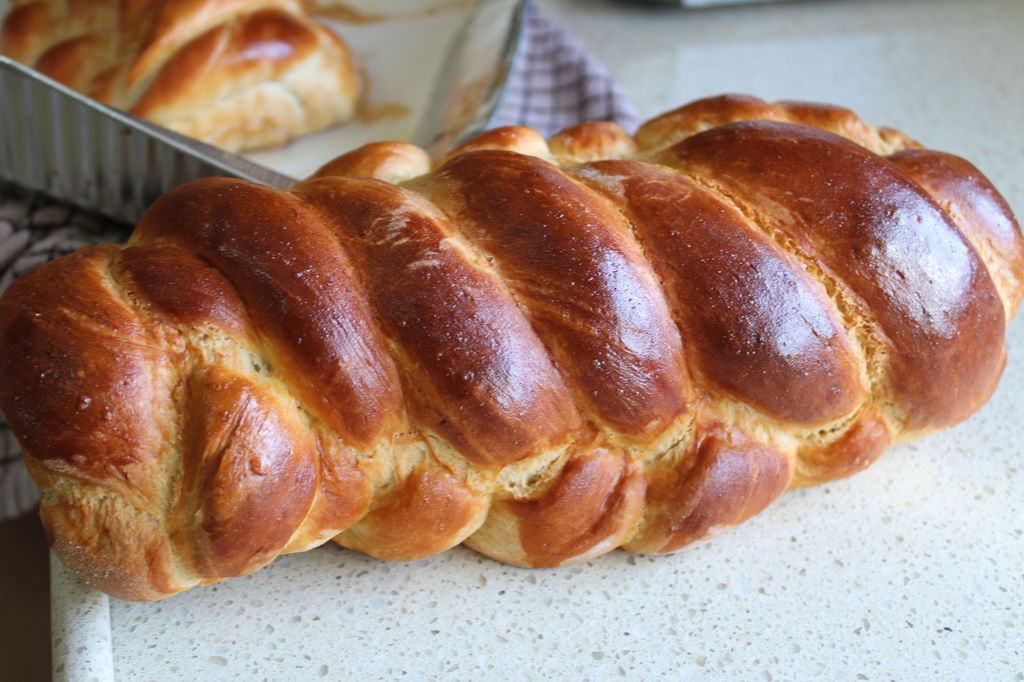 IMG_6509_1024x682 (1).jpg