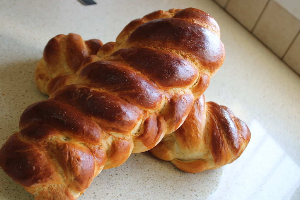 IMG_6514_1024x682 (1).jpg