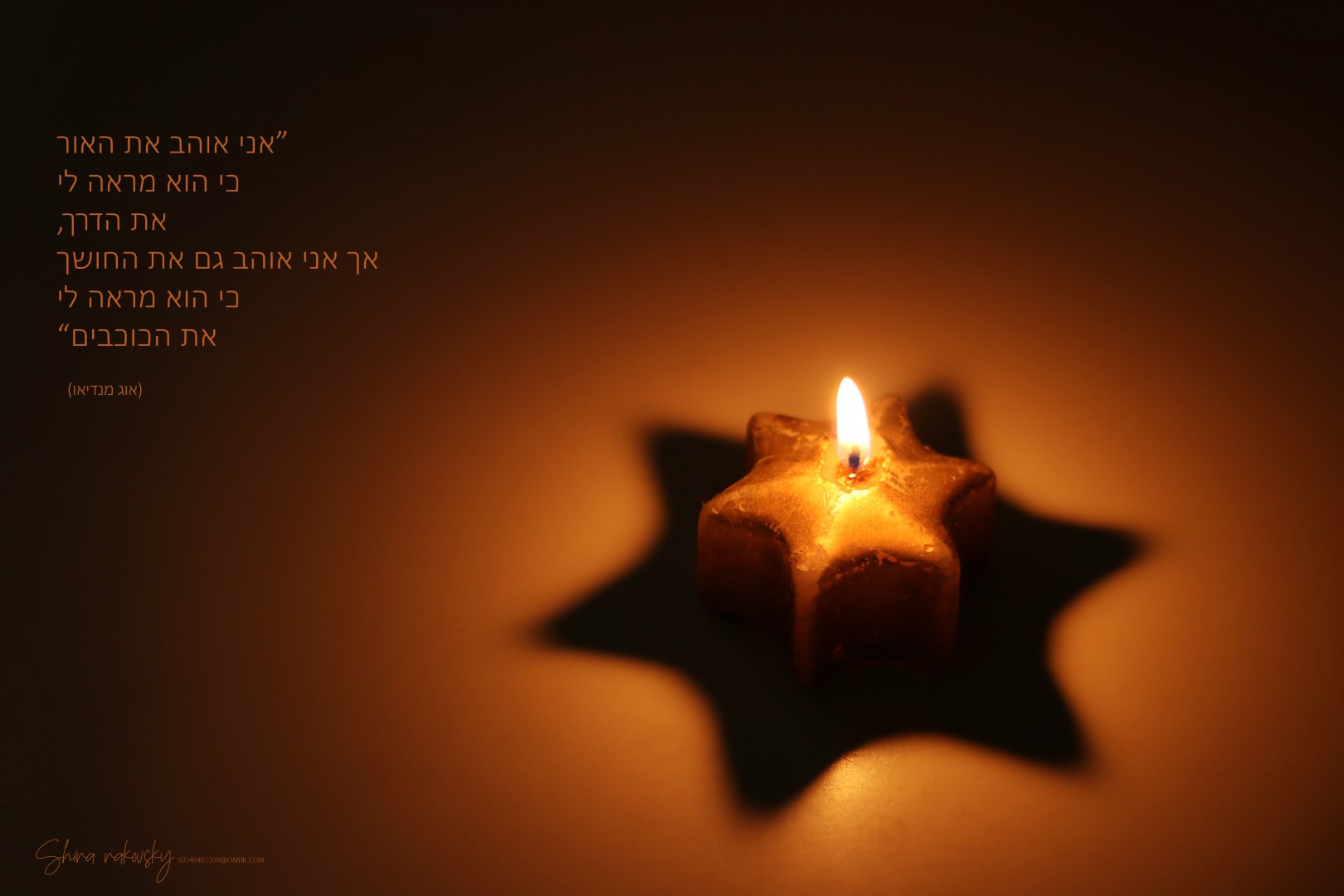 IMG_6585 copy (Large).jpg