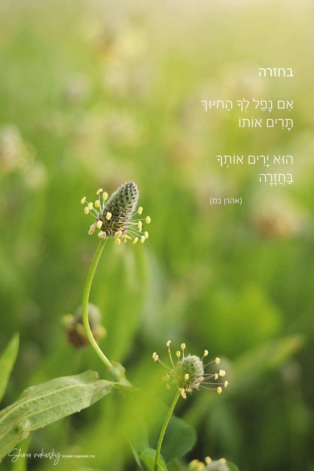 IMG_6619 copy (Large).jpg