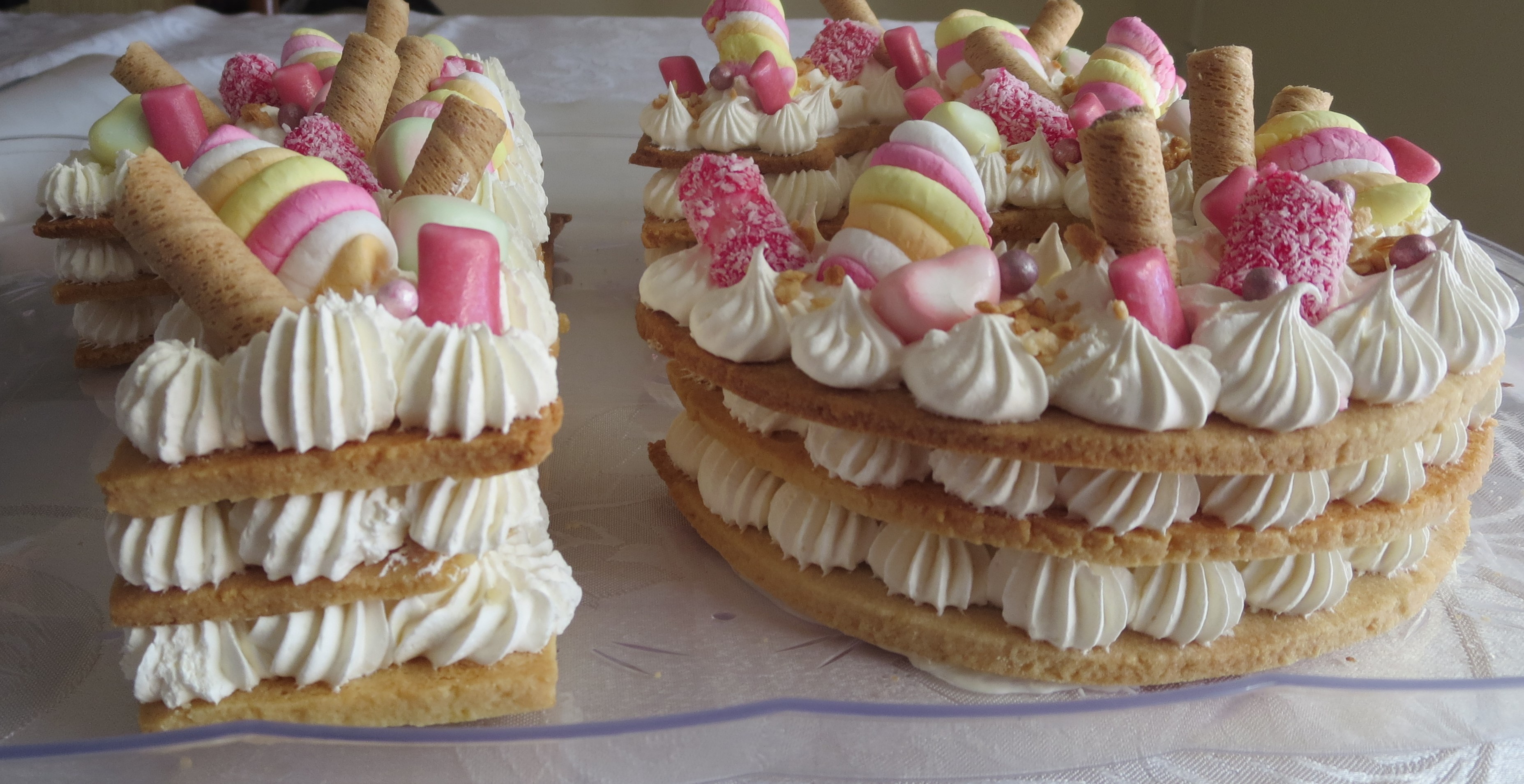 IMG_6821 חתוך.jpg